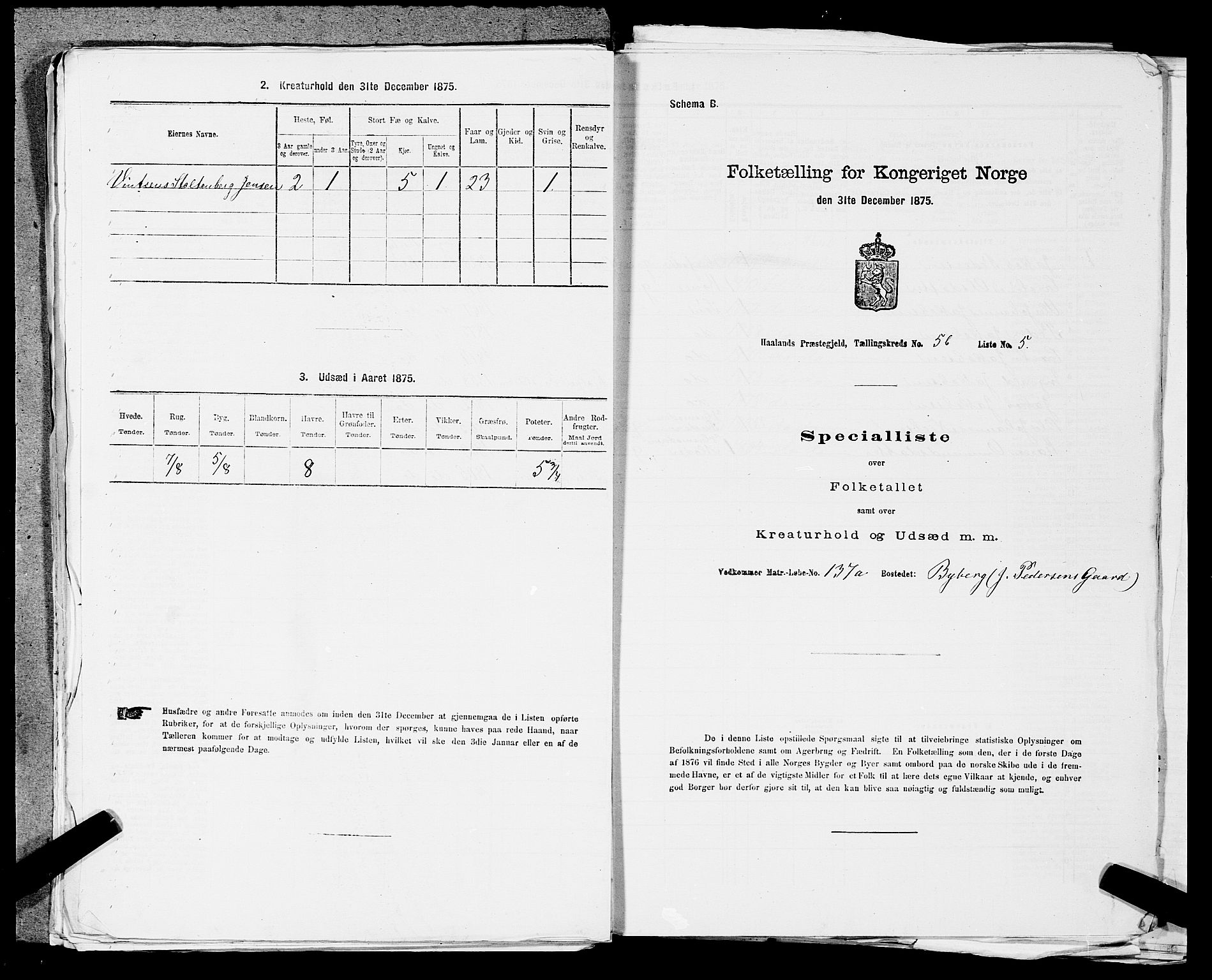 SAST, 1875 census for 1124P Håland, 1875, p. 858