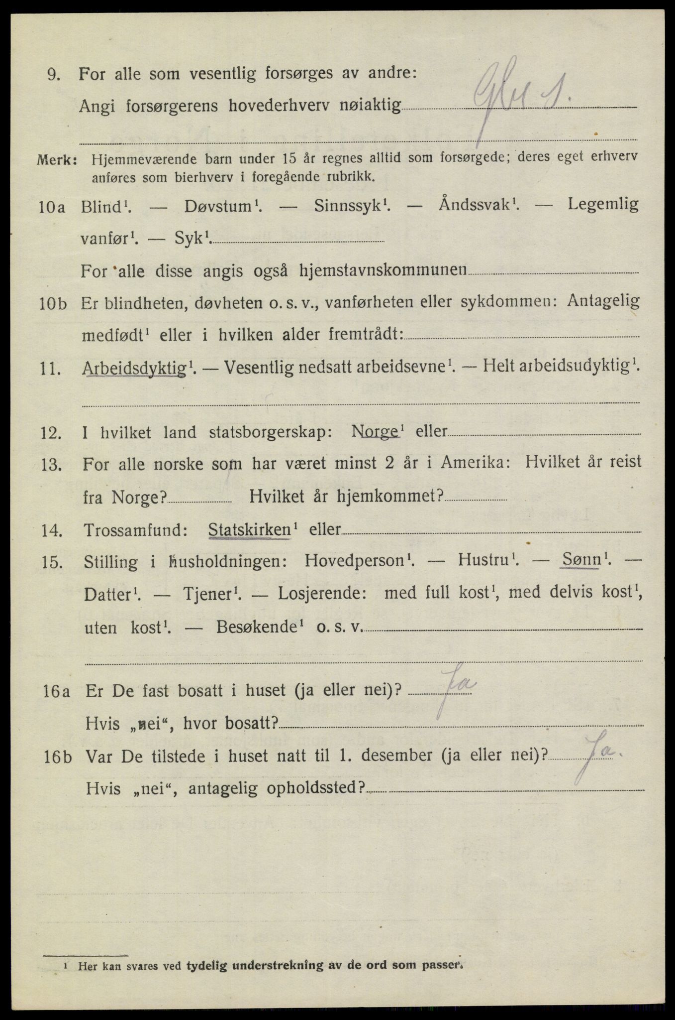 SAKO, 1920 census for Heddal, 1920, p. 6107