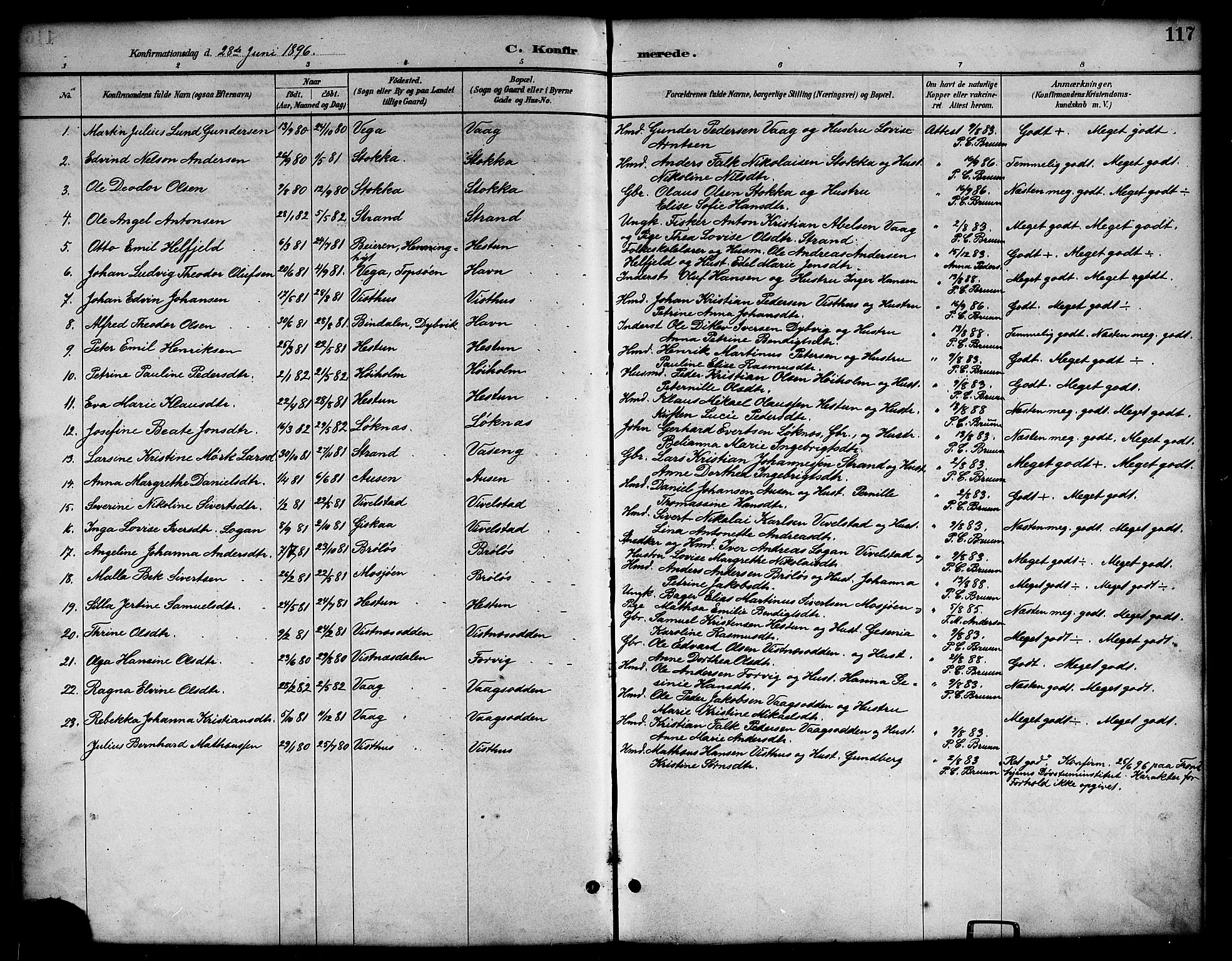 Ministerialprotokoller, klokkerbøker og fødselsregistre - Nordland, SAT/A-1459/819/L0277: Parish register (copy) no. 819C03, 1888-1917, p. 117