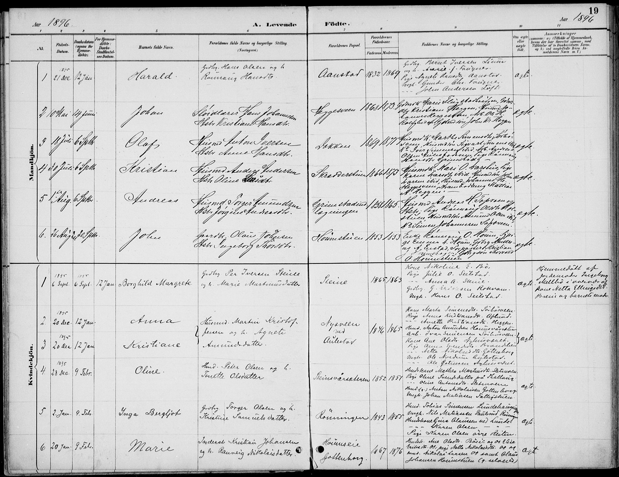 Østre Gausdal prestekontor, SAH/PREST-092/H/Ha/Haa/L0003: Parish register (official) no. 3, 1887-1901, p. 19
