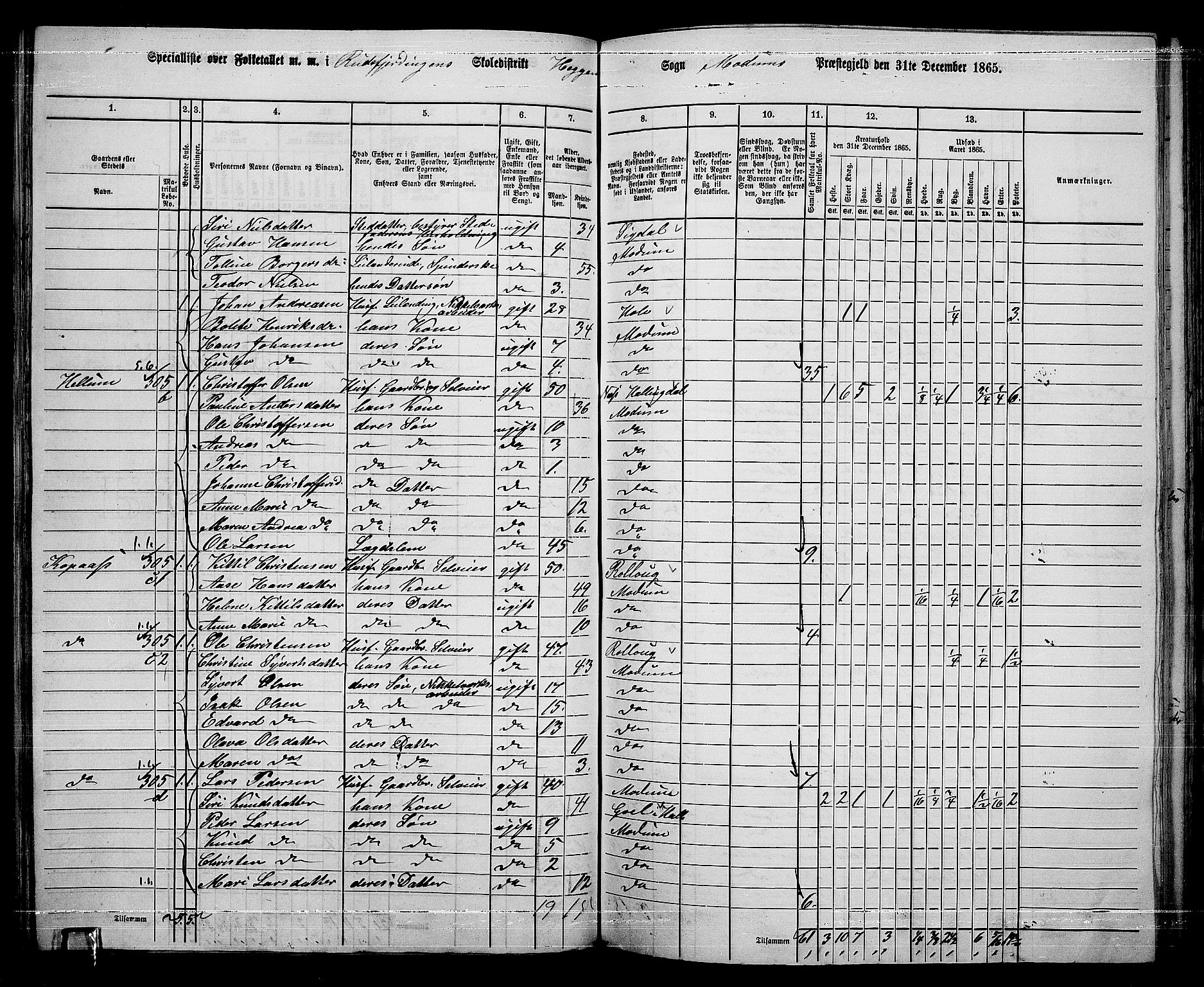 RA, 1865 census for Modum, 1865, p. 109