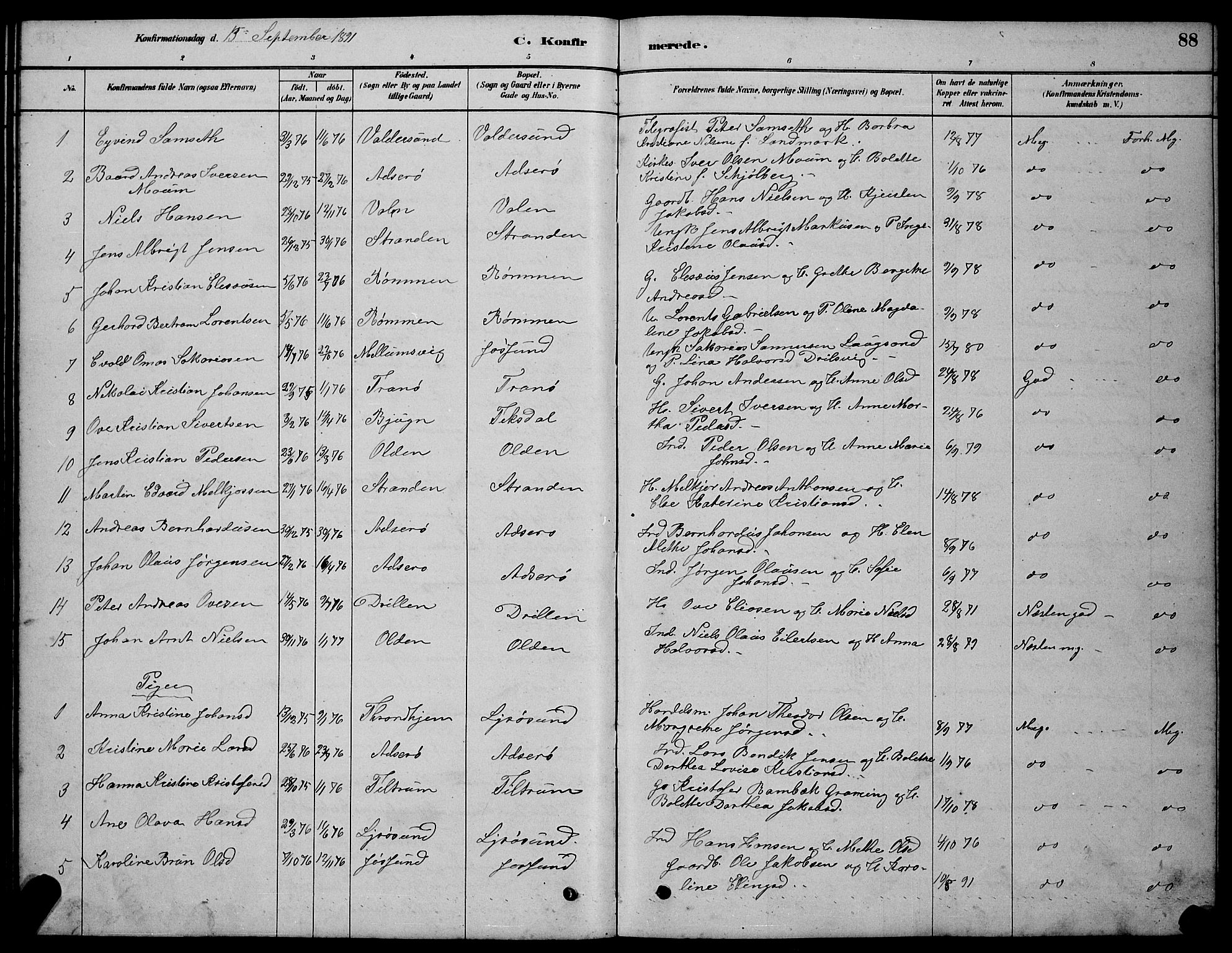 Ministerialprotokoller, klokkerbøker og fødselsregistre - Sør-Trøndelag, AV/SAT-A-1456/654/L0665: Parish register (copy) no. 654C01, 1879-1901, p. 88