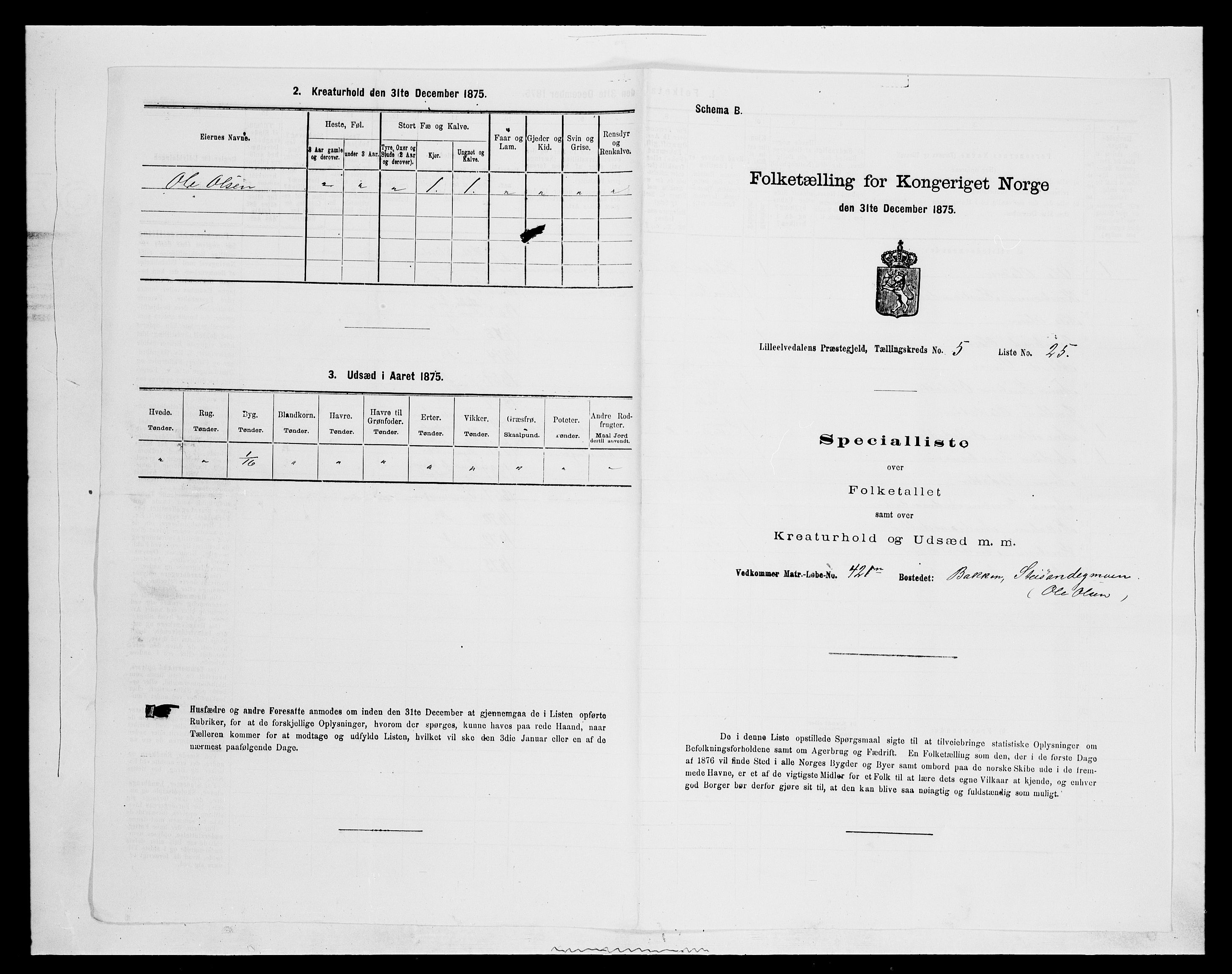 SAH, 1875 census for 0438P Lille Elvedalen, 1875, p. 492