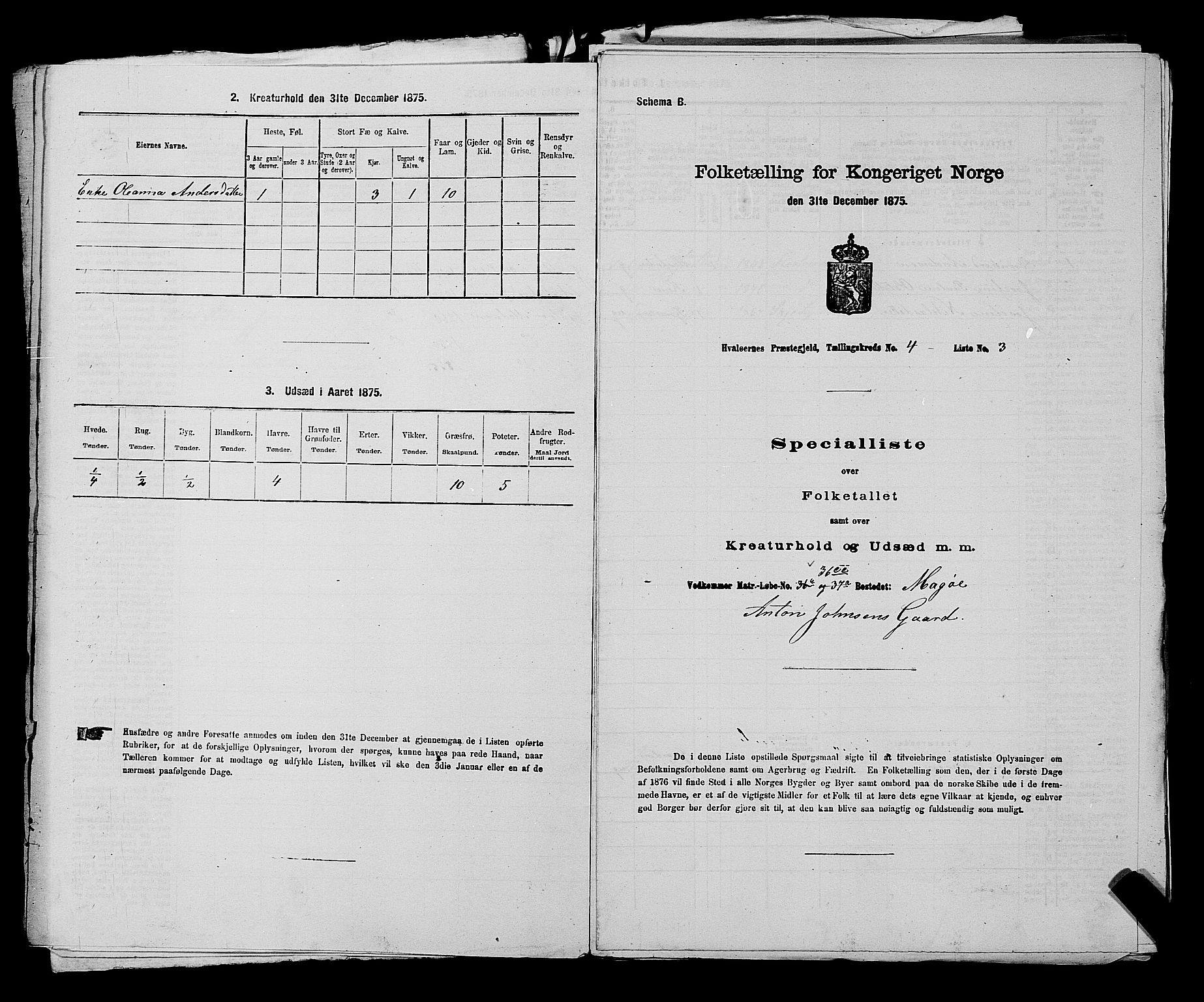 RA, 1875 census for 0111P Hvaler, 1875, p. 576