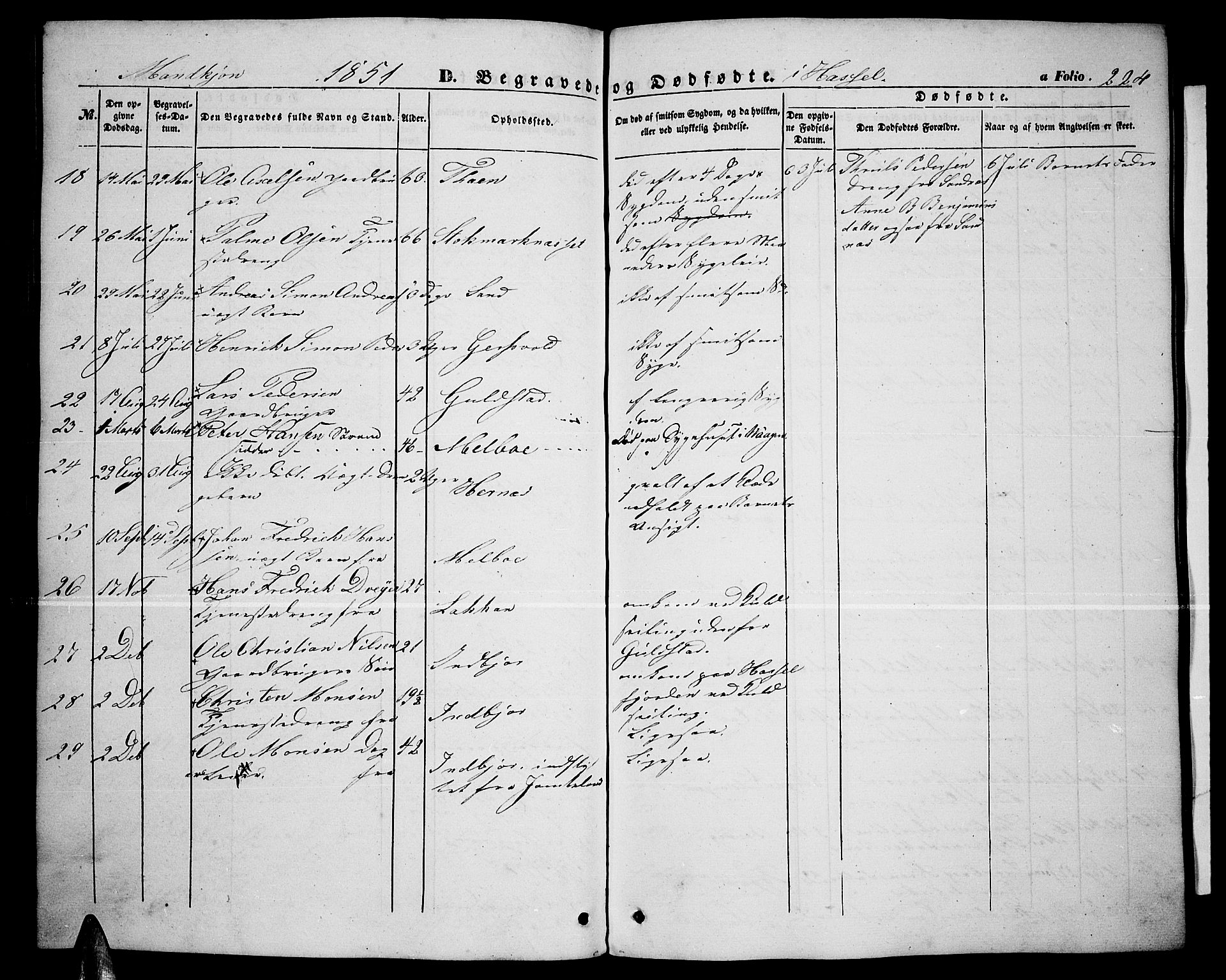 Ministerialprotokoller, klokkerbøker og fødselsregistre - Nordland, AV/SAT-A-1459/888/L1265: Parish register (copy) no. 888C03, 1850-1863, p. 224