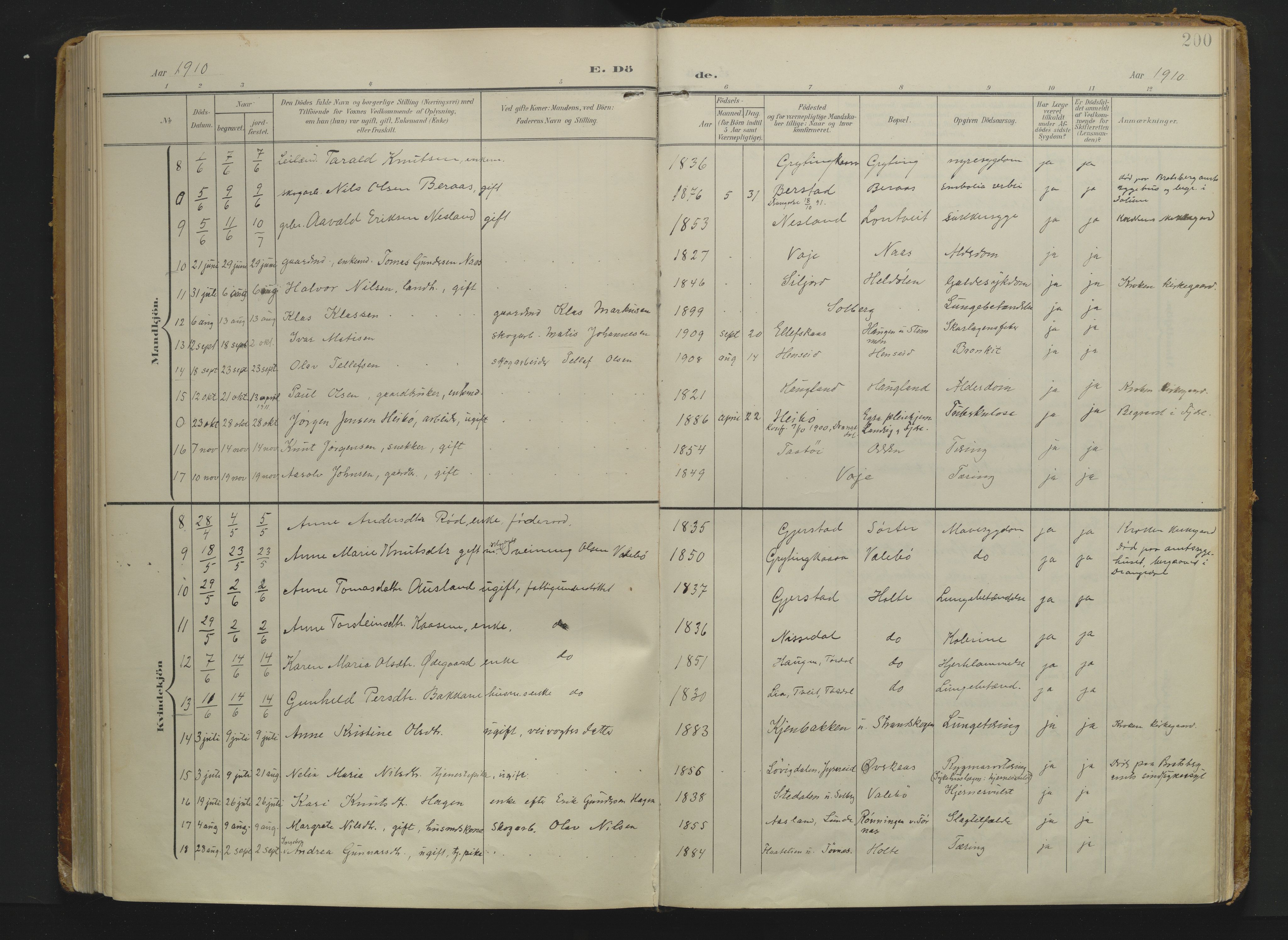 Drangedal kirkebøker, AV/SAKO-A-258/F/Fa/L0014: Parish register (official) no. 14, 1906-1920, p. 200