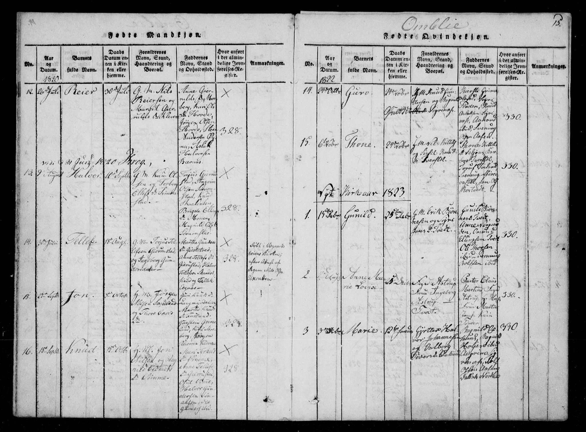 Åmli sokneprestkontor, SAK/1111-0050/F/Fa/Fac/L0006: Parish register (official) no. A 6, 1816-1829, p. 15