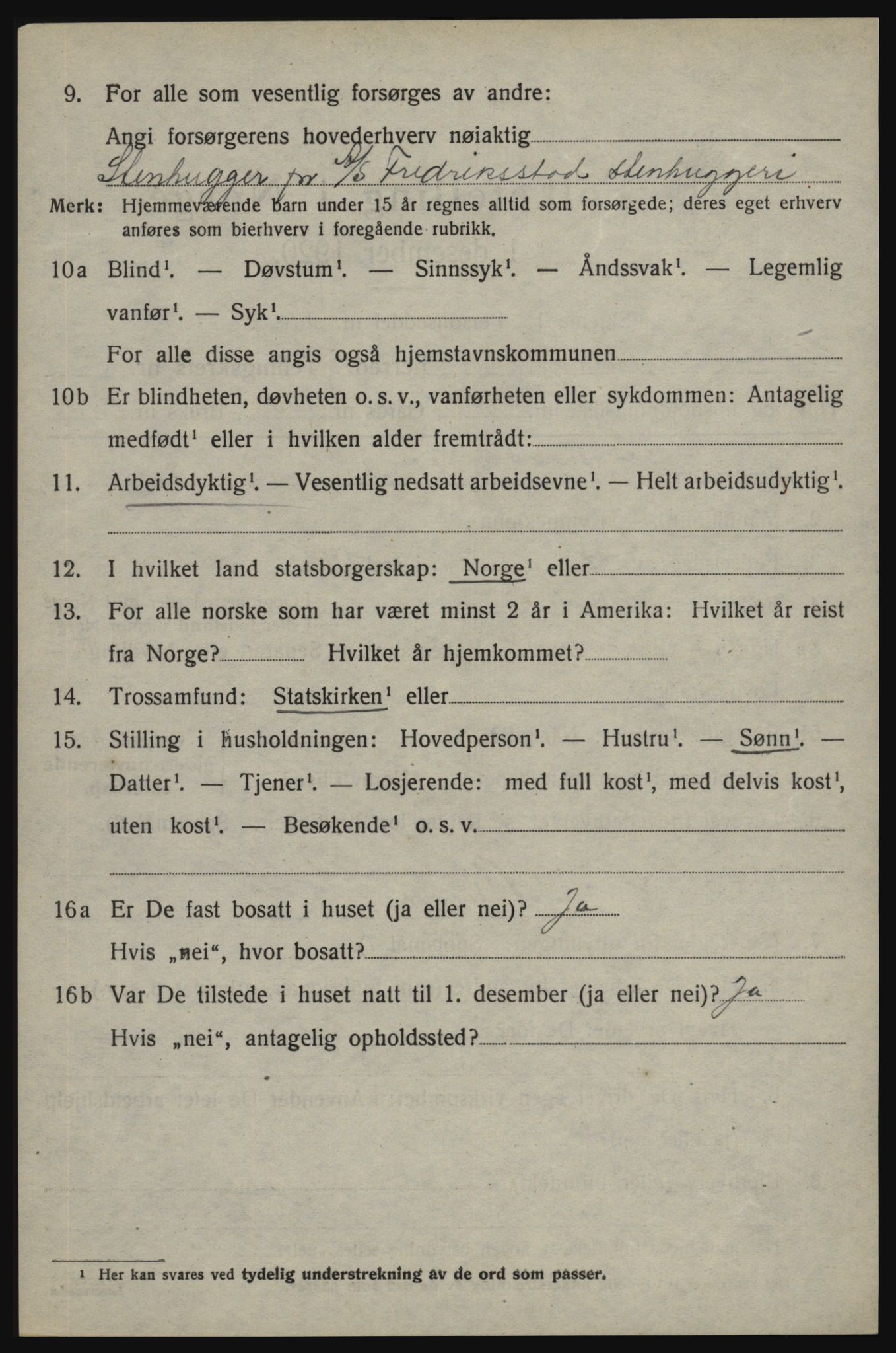 SAO, 1920 census for Skjeberg, 1920, p. 6572