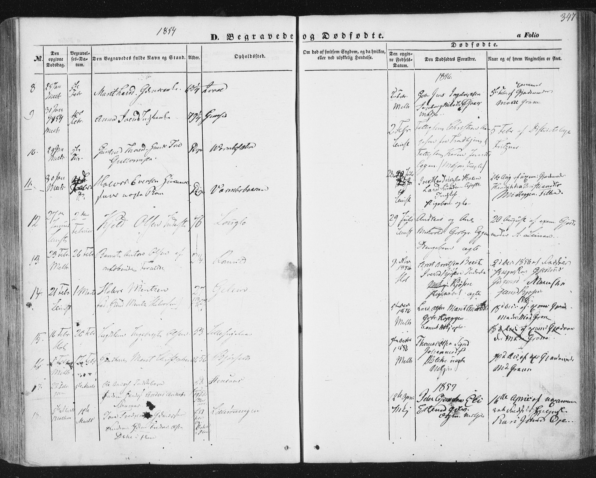Ministerialprotokoller, klokkerbøker og fødselsregistre - Sør-Trøndelag, SAT/A-1456/691/L1076: Parish register (official) no. 691A08, 1852-1861, p. 347