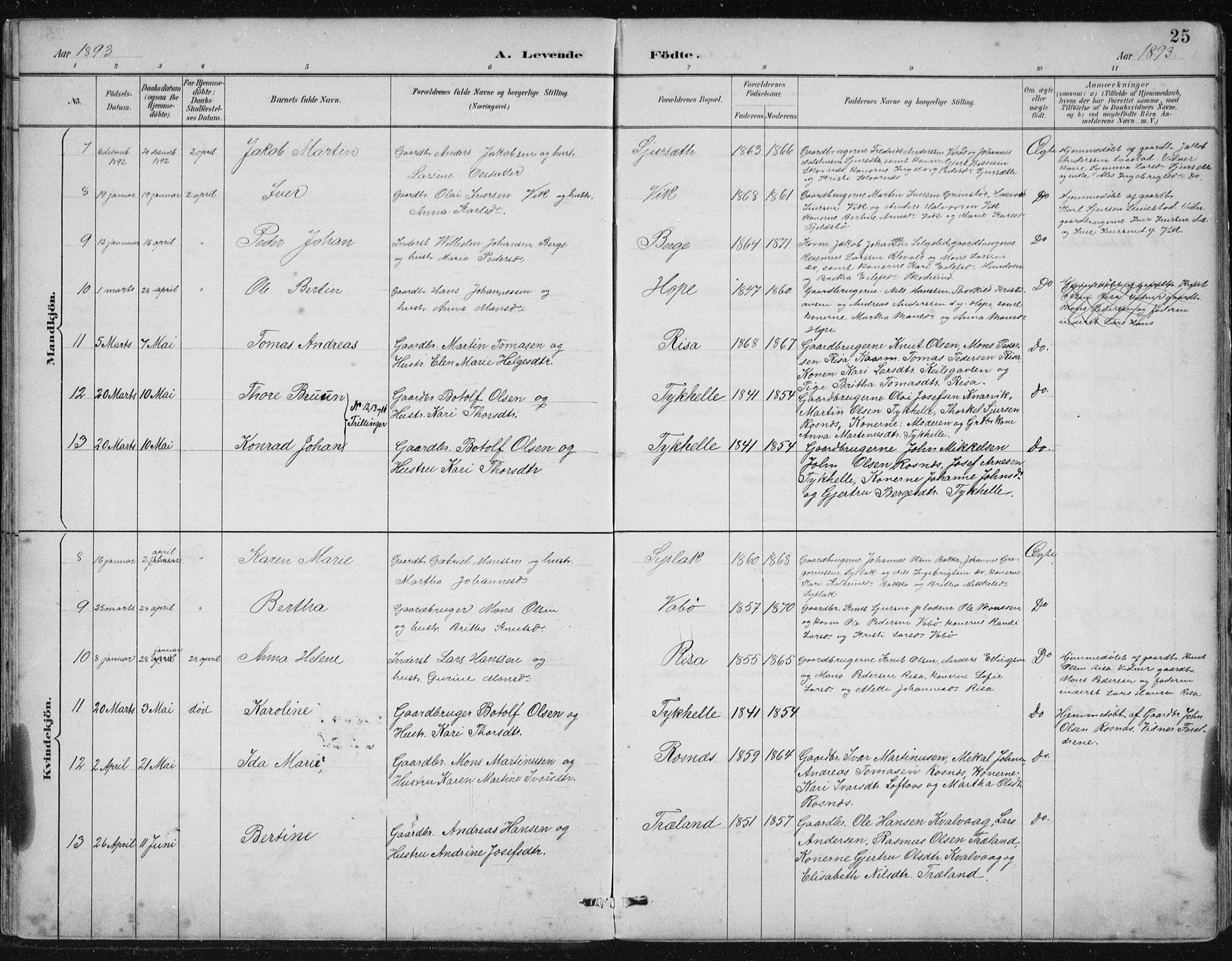 Lindås Sokneprestembete, SAB/A-76701/H/Hab: Parish register (copy) no. B 3, 1886-1914, p. 25