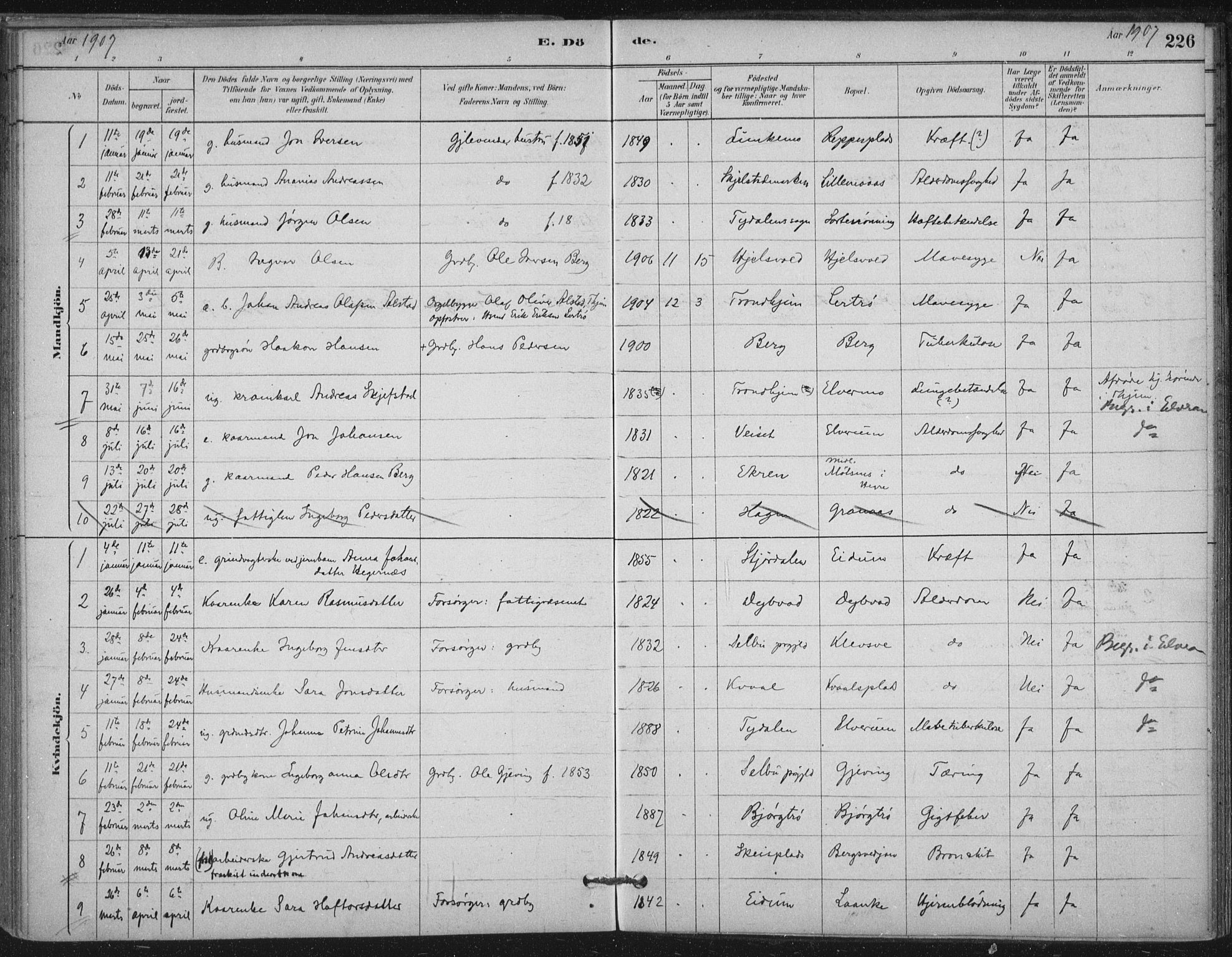 Ministerialprotokoller, klokkerbøker og fødselsregistre - Nord-Trøndelag, AV/SAT-A-1458/710/L0095: Parish register (official) no. 710A01, 1880-1914, p. 226