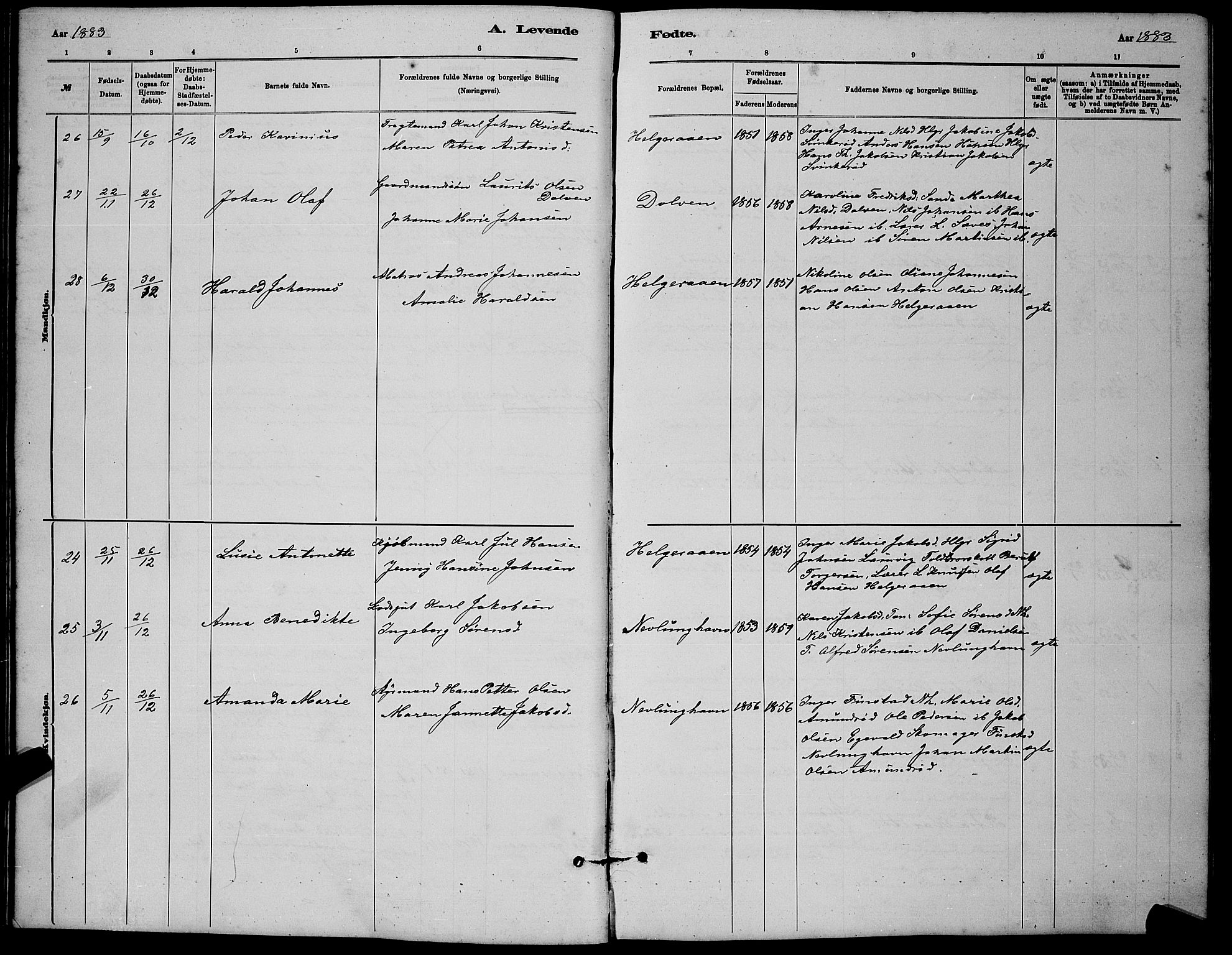 Brunlanes kirkebøker, AV/SAKO-A-342/G/Gb/L0002: Parish register (copy) no. II 2, 1878-1902