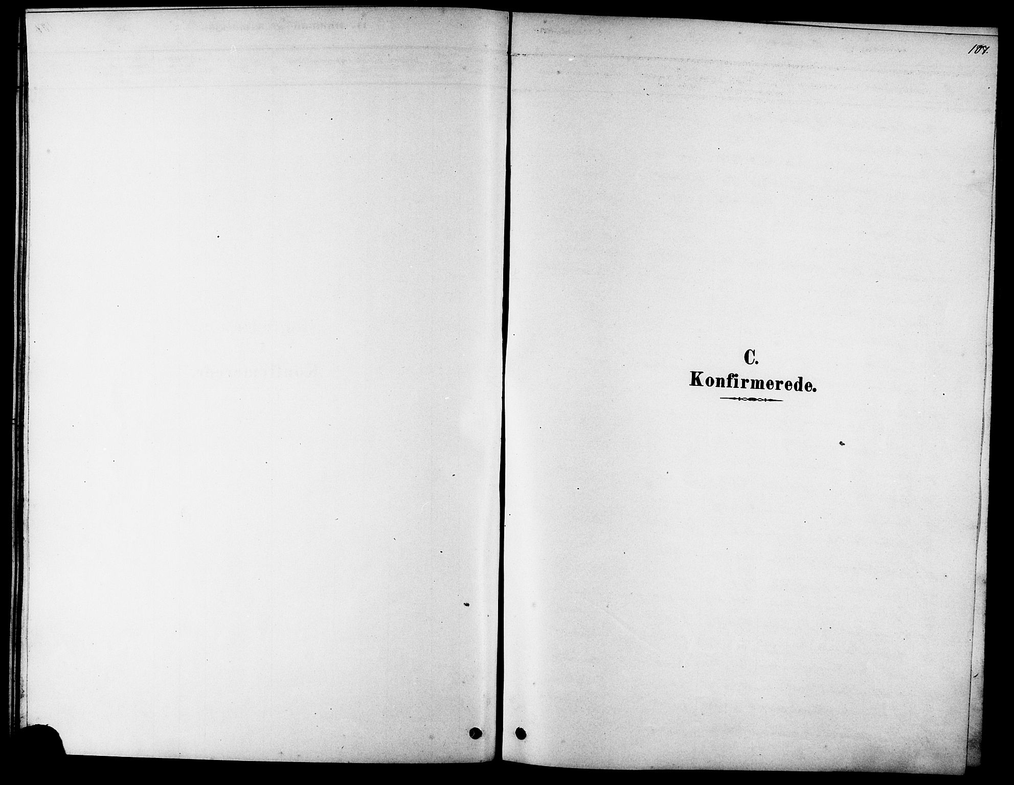 Ministerialprotokoller, klokkerbøker og fødselsregistre - Møre og Romsdal, SAT/A-1454/523/L0339: Parish register (copy) no. 523C02, 1878-1891, p. 107