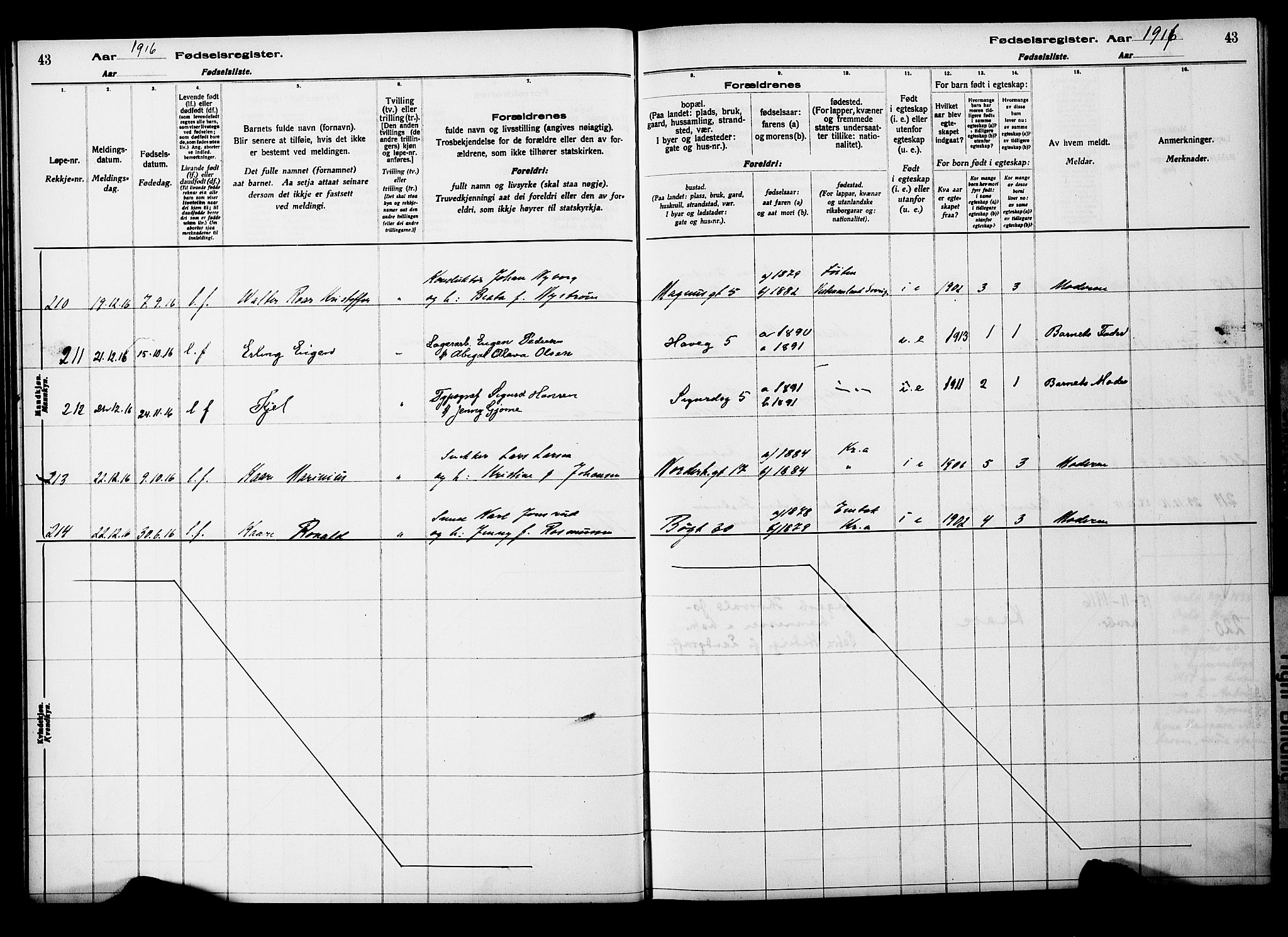 Kampen prestekontor Kirkebøker, SAO/A-10853/J/Ja/L0001: Birth register no. 1, 1916-1920, p. 43