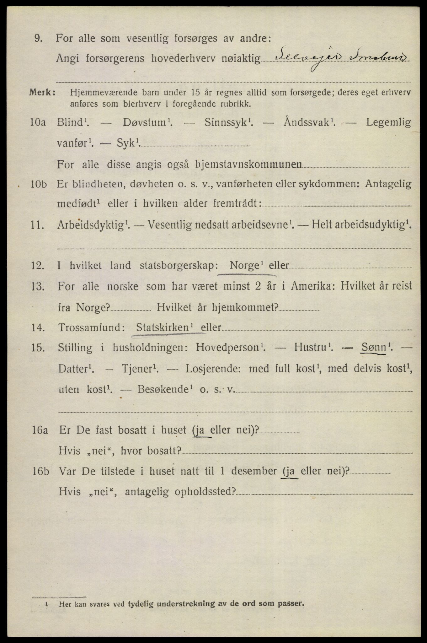 SAKO, 1920 census for Nes (Buskerud), 1920, p. 1623