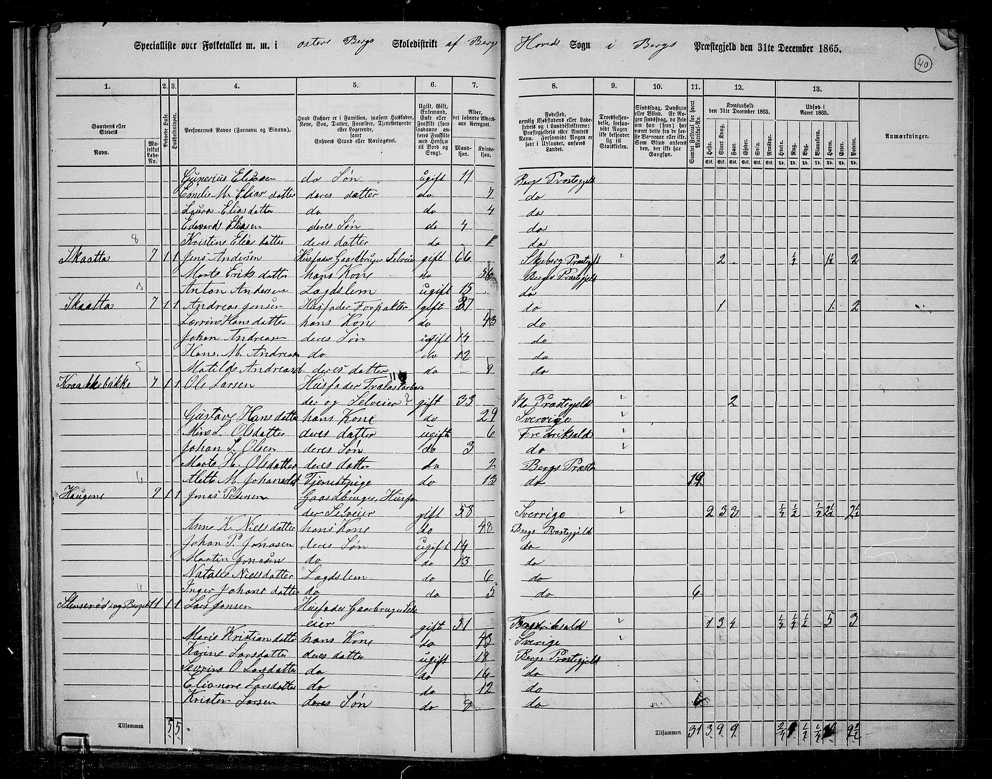 RA, 1865 census for Berg, 1865, p. 37