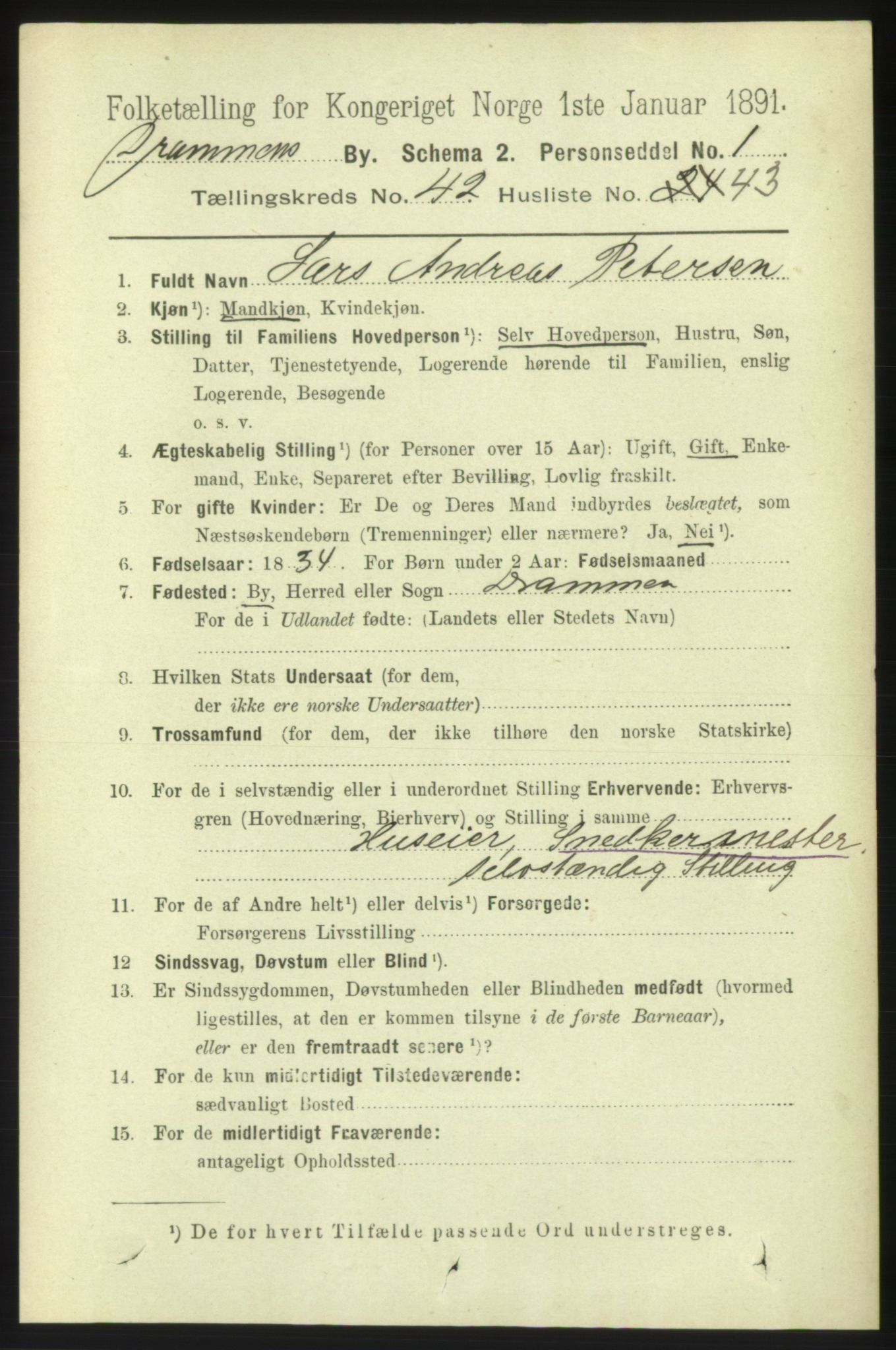 RA, 1891 census for 0602 Drammen, 1891, p. 25033