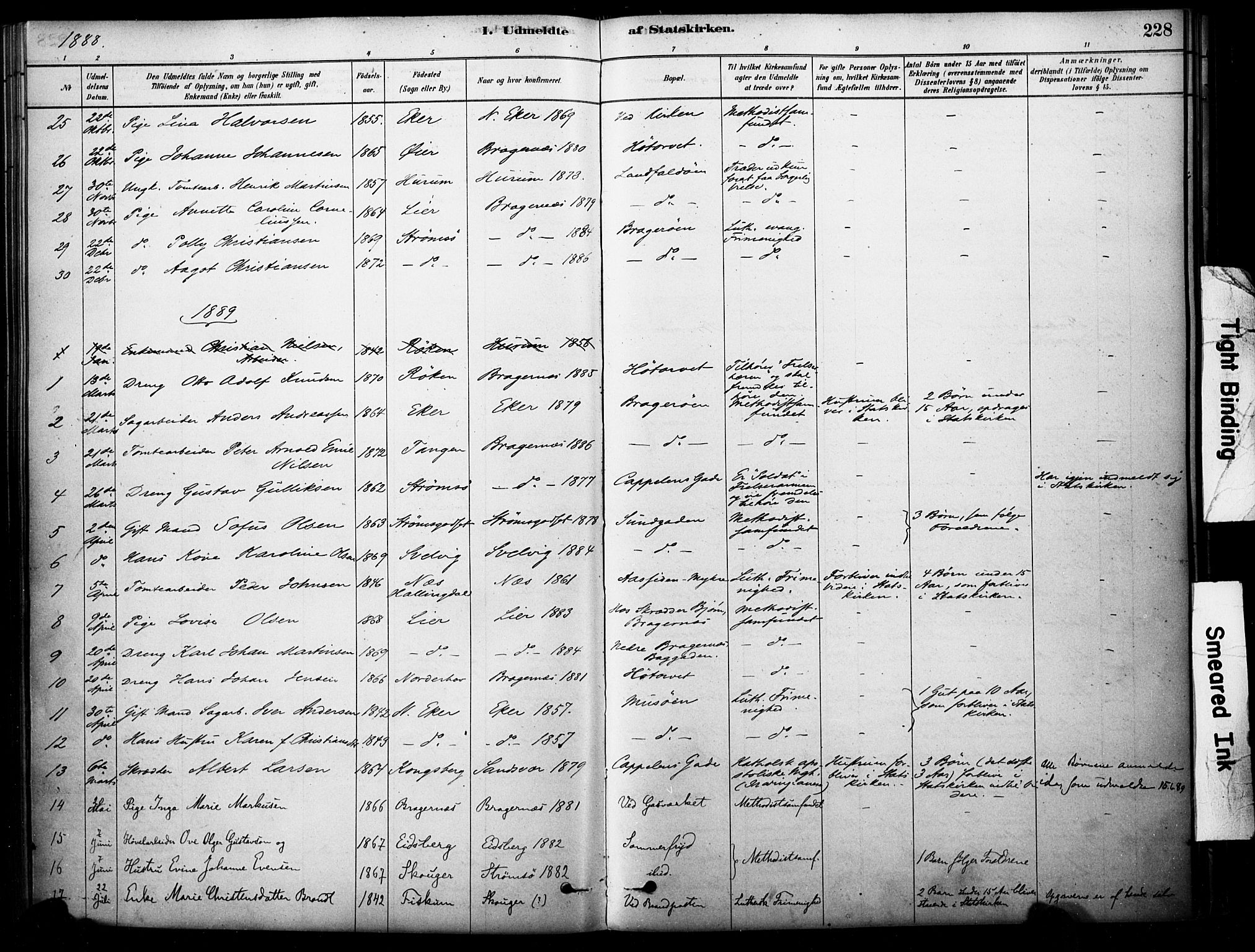 Bragernes kirkebøker, SAKO/A-6/F/Fc/L0005: Parish register (official) no. III 5, 1878-1890, p. 228