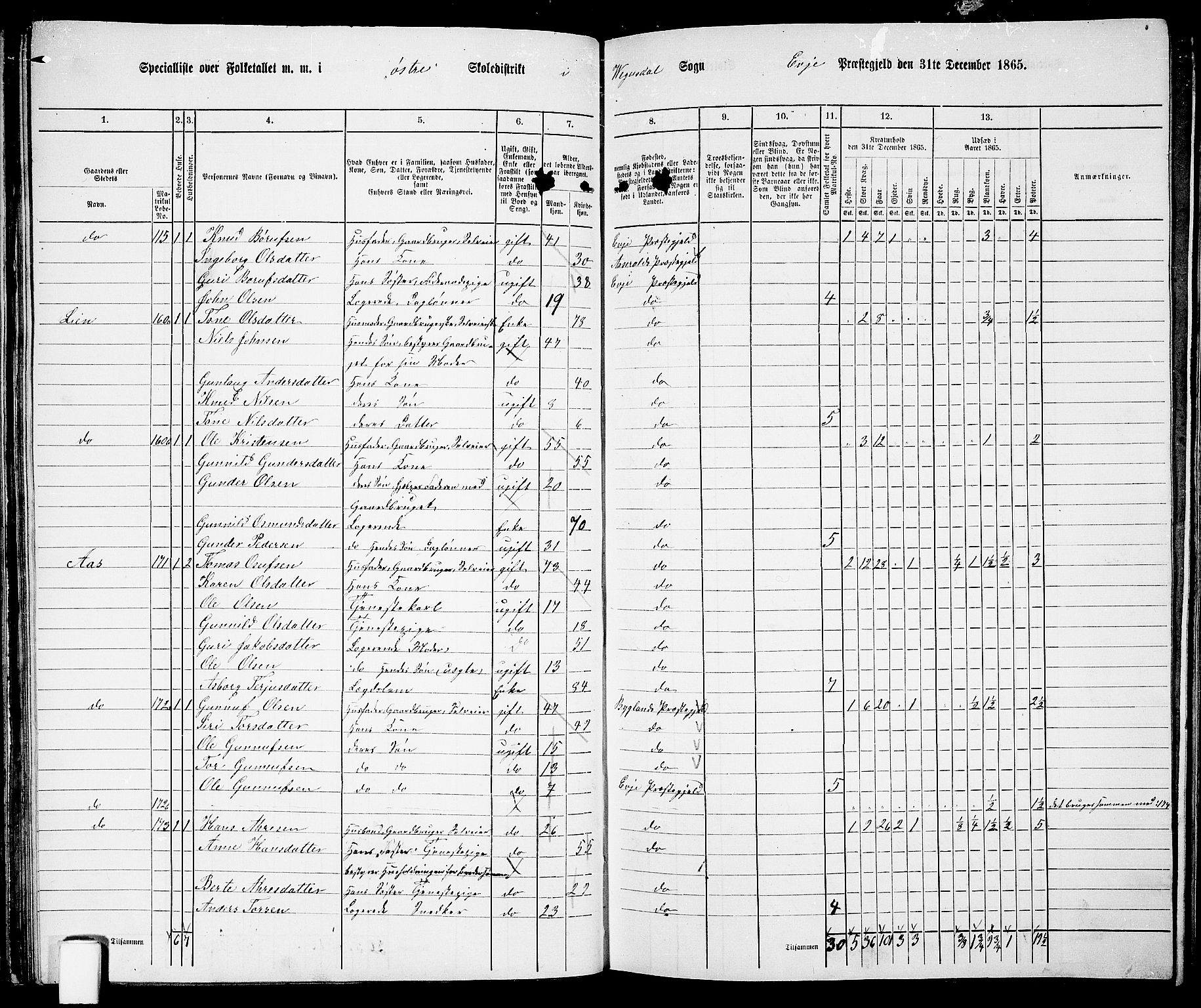 RA, 1865 census for Evje, 1865, p. 56