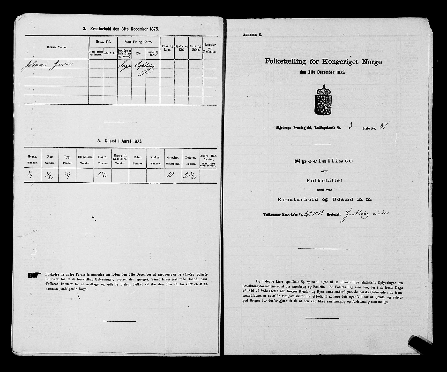 RA, 1875 census for 0115P Skjeberg, 1875, p. 547