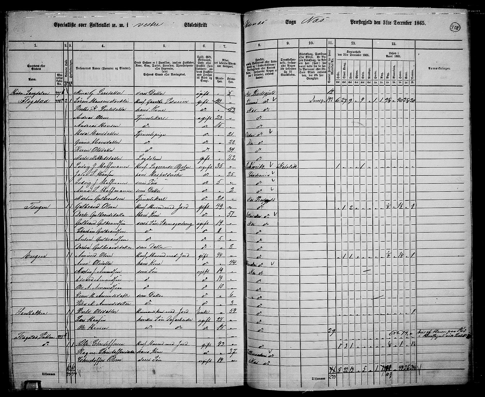 RA, 1865 census for Nes, 1865, p. 374