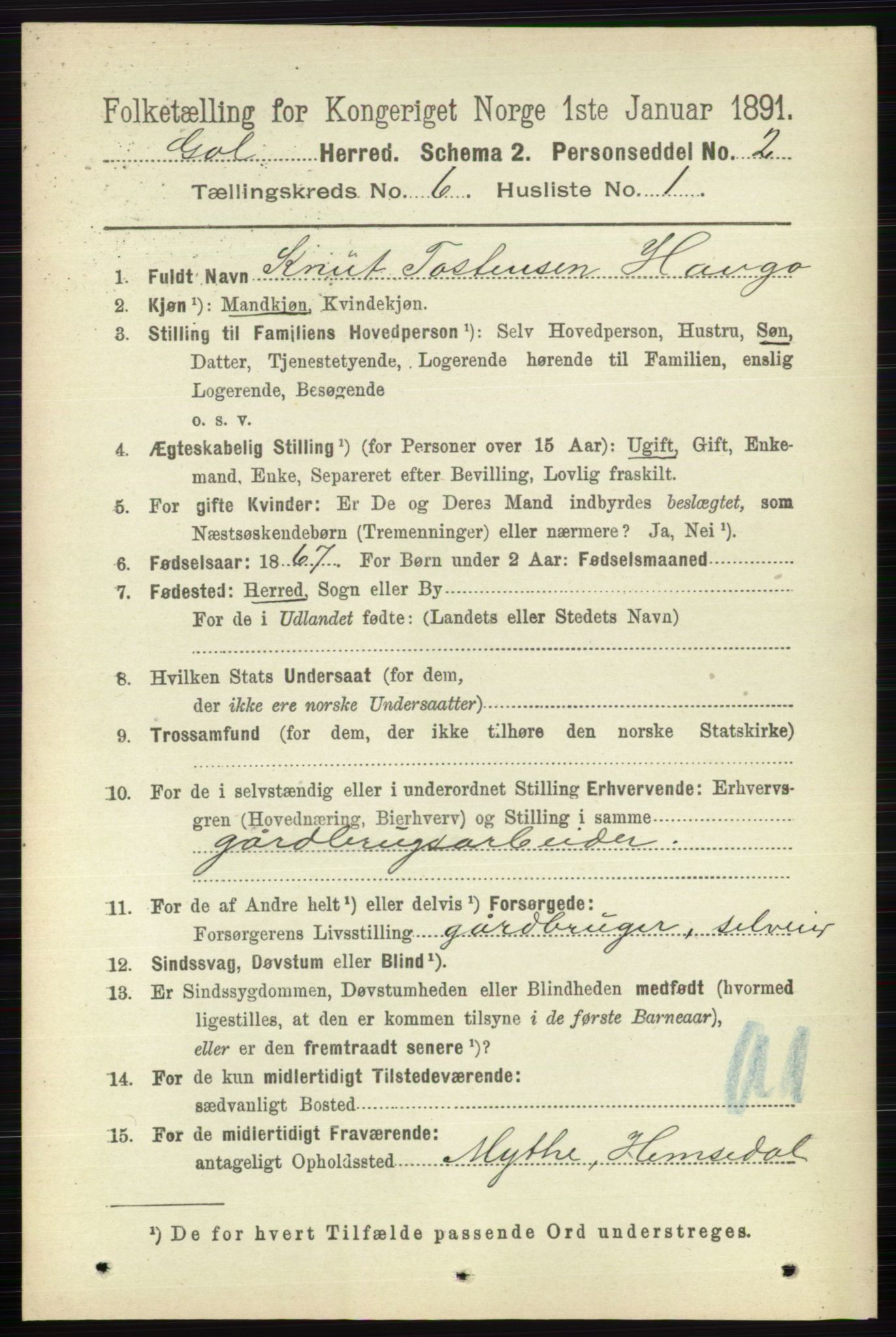 RA, 1891 census for 0617 Gol og Hemsedal, 1891, p. 2423