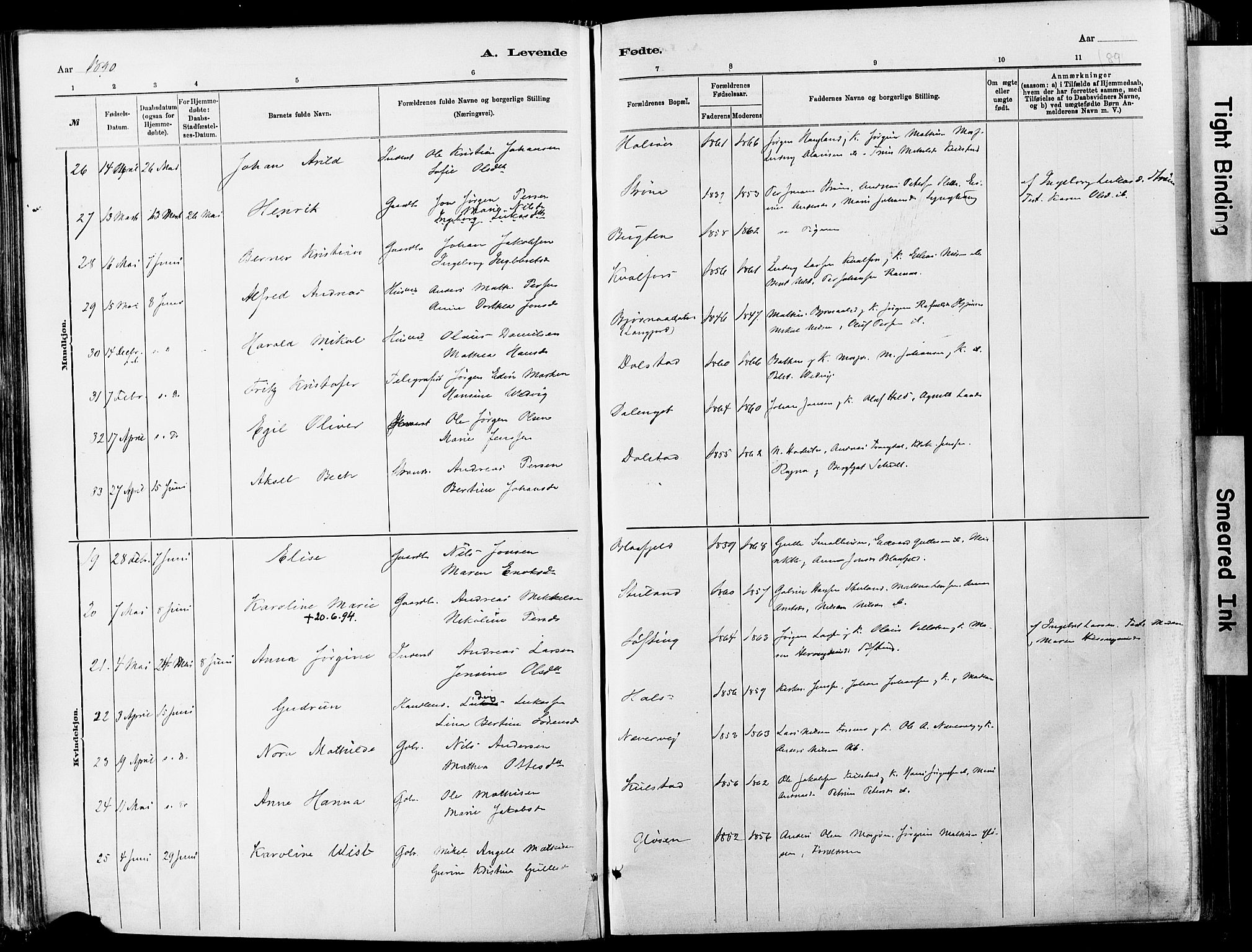 Ministerialprotokoller, klokkerbøker og fødselsregistre - Nordland, AV/SAT-A-1459/820/L0295: Parish register (official) no. 820A16, 1880-1896, p. 89