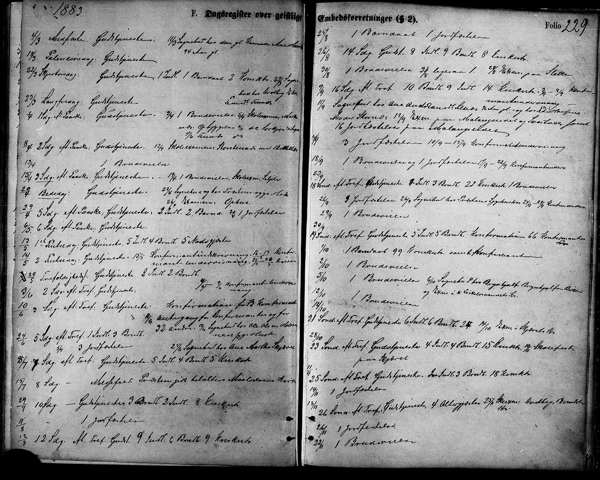 Balsfjord sokneprestembete, SATØ/S-1303/G/Ga/L0004kirke: Parish register (official) no. 4, 1871-1883, p. 229