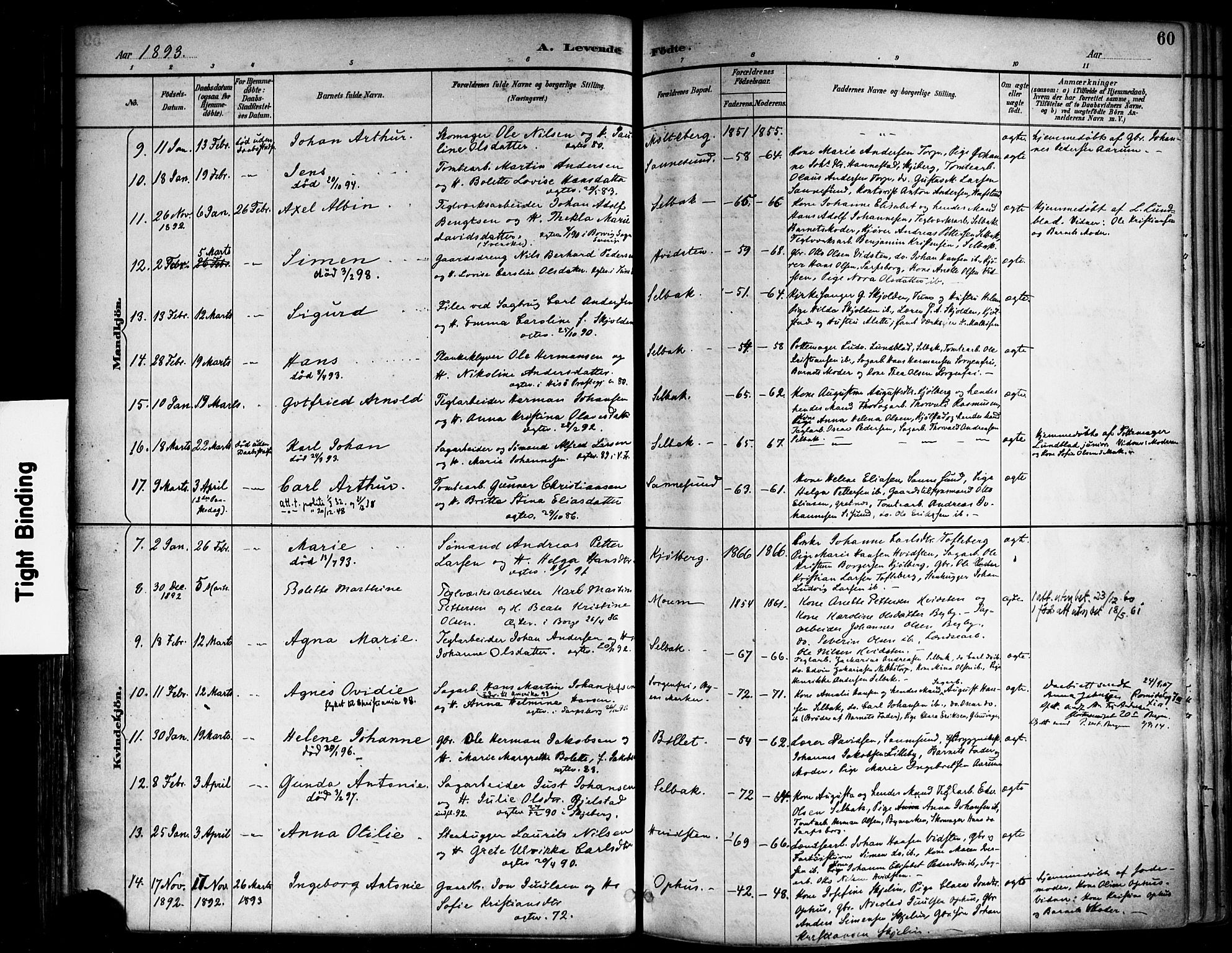Borge prestekontor Kirkebøker, SAO/A-10903/F/Fa/L0008: Parish register (official) no. I 8A, 1887-1902, p. 60