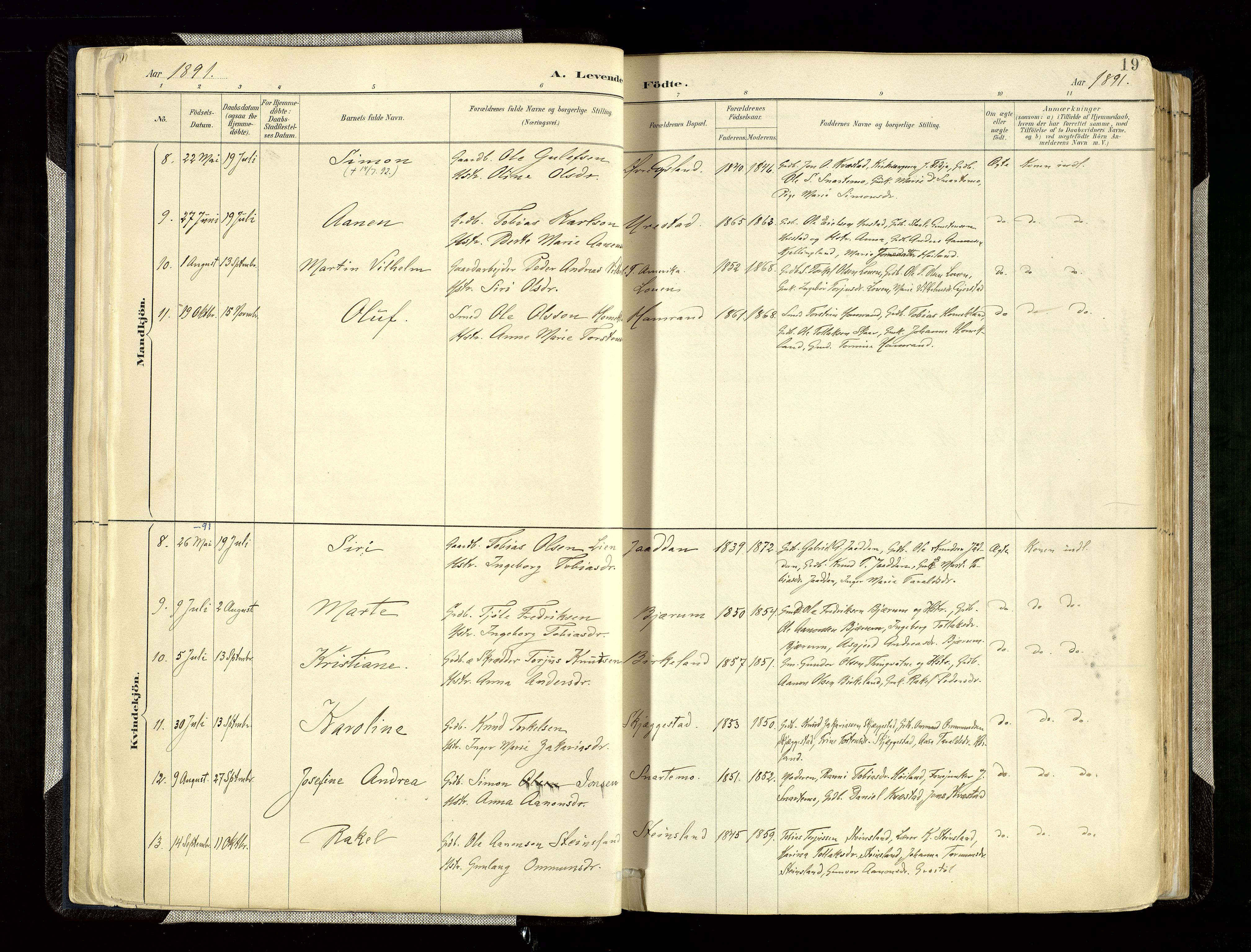 Hægebostad sokneprestkontor, SAK/1111-0024/F/Fa/Faa/L0006: Parish register (official) no. A 6, 1887-1929, p. 19