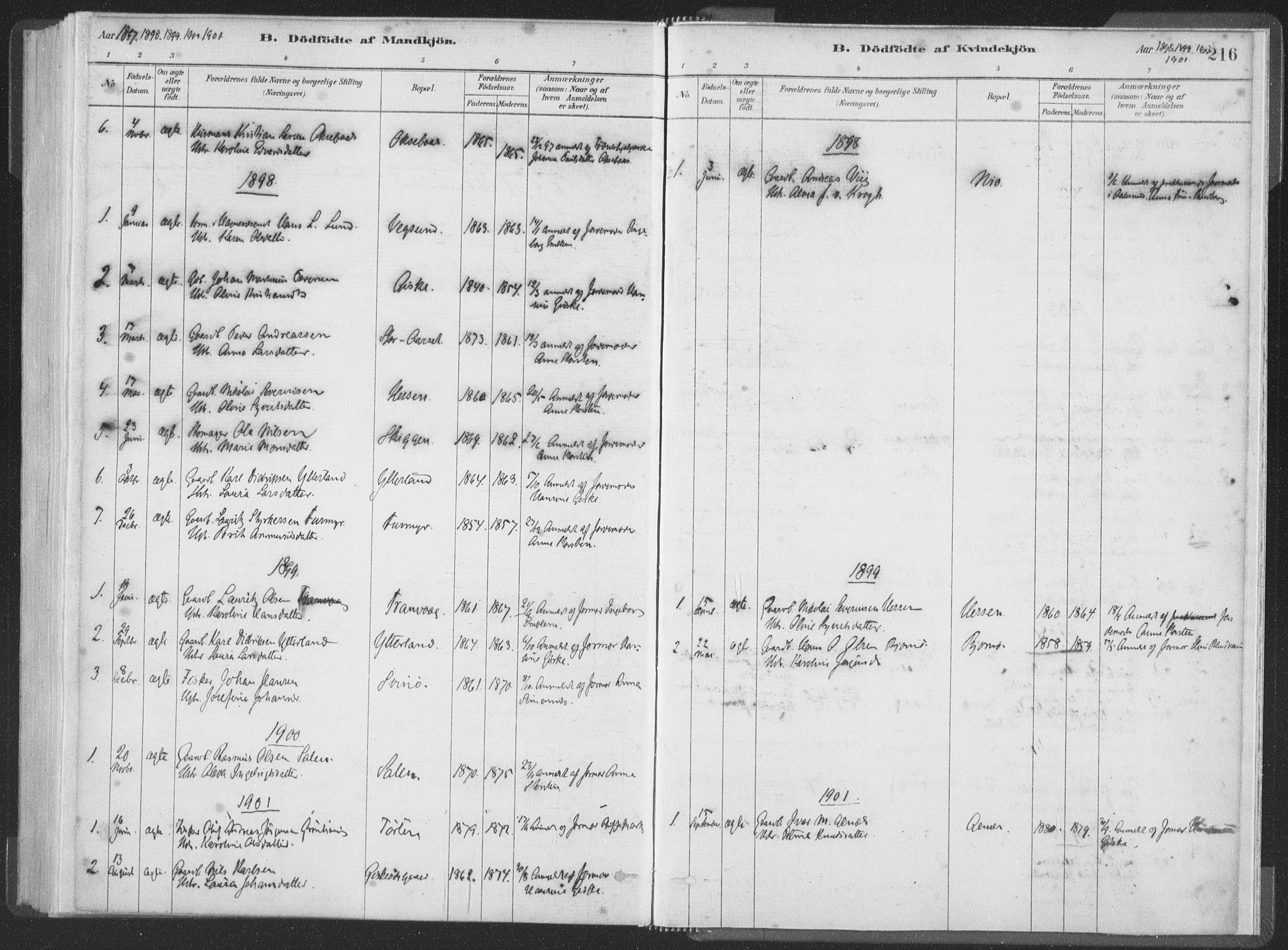 Ministerialprotokoller, klokkerbøker og fødselsregistre - Møre og Romsdal, AV/SAT-A-1454/528/L0401: Parish register (official) no. 528A12I, 1880-1920, p. 216