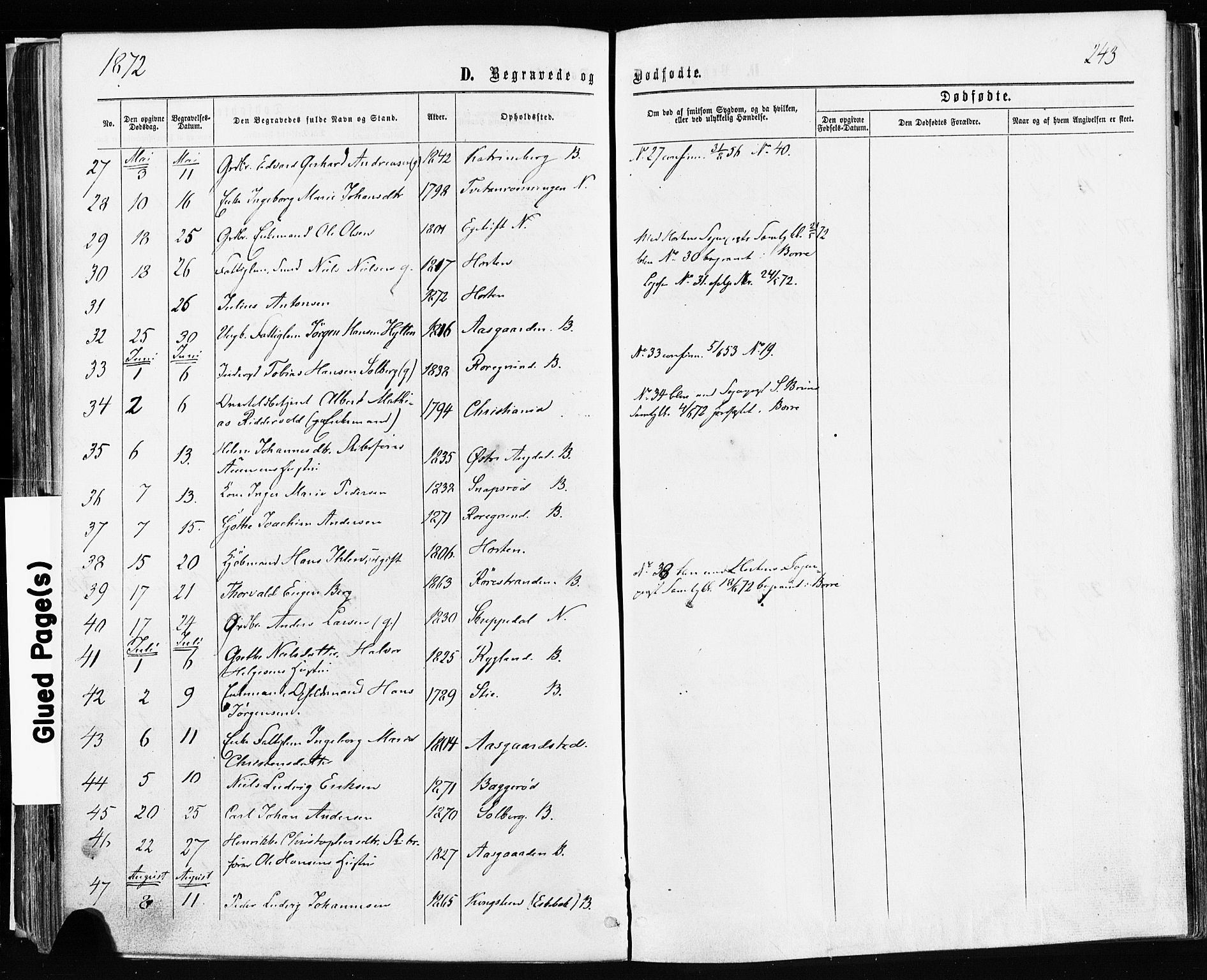 Borre kirkebøker, SAKO/A-338/F/Fa/L0008: Parish register (official) no. I 8, 1868-1877, p. 243