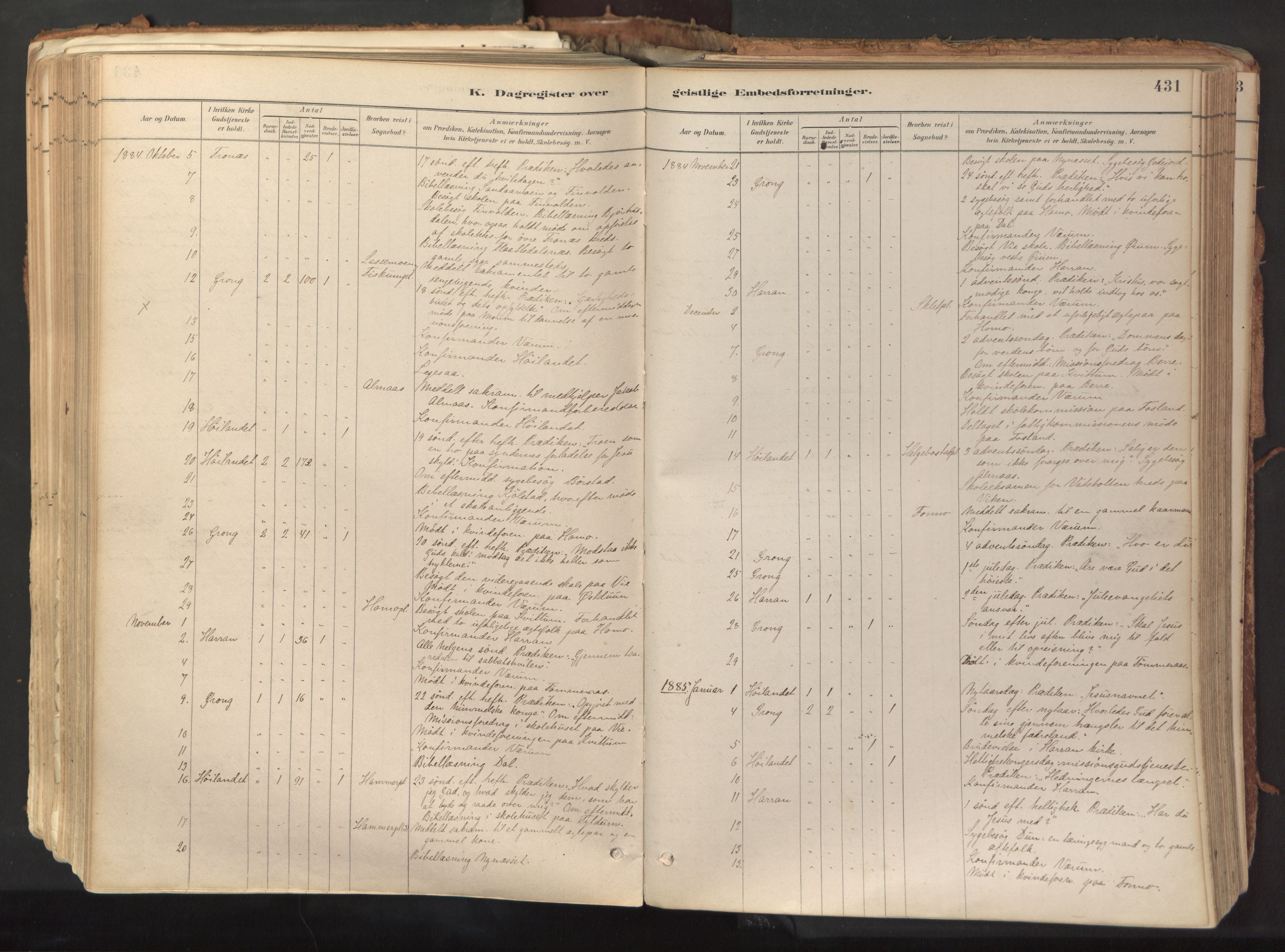 Ministerialprotokoller, klokkerbøker og fødselsregistre - Nord-Trøndelag, SAT/A-1458/758/L0519: Parish register (official) no. 758A04, 1880-1926, p. 431