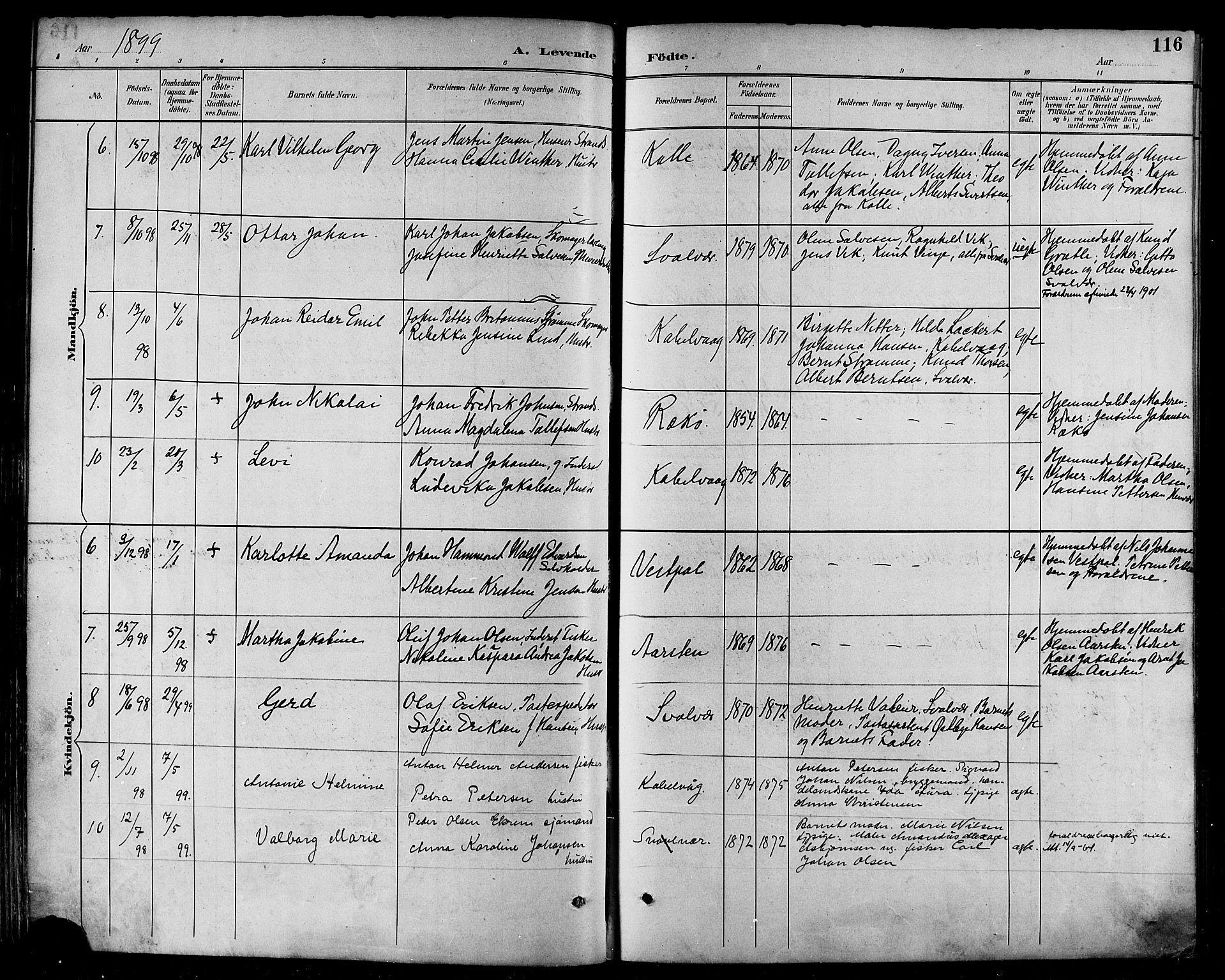 Ministerialprotokoller, klokkerbøker og fødselsregistre - Nordland, AV/SAT-A-1459/874/L1060: Parish register (official) no. 874A04, 1890-1899, p. 116