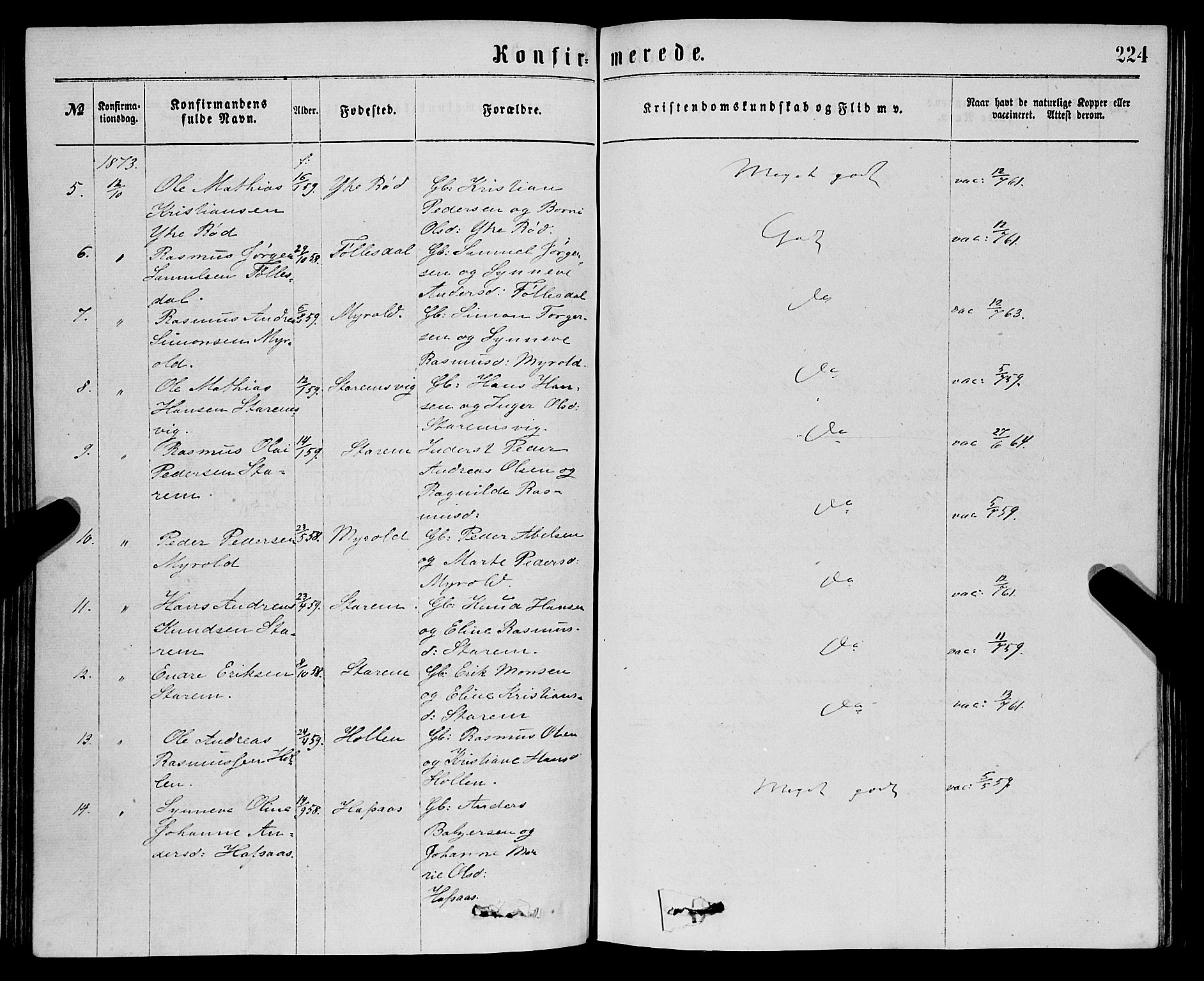 Eid sokneprestembete, SAB/A-82301/H/Haa/Haaa/L0010: Parish register (official) no. A 10, 1867-1878, p. 224