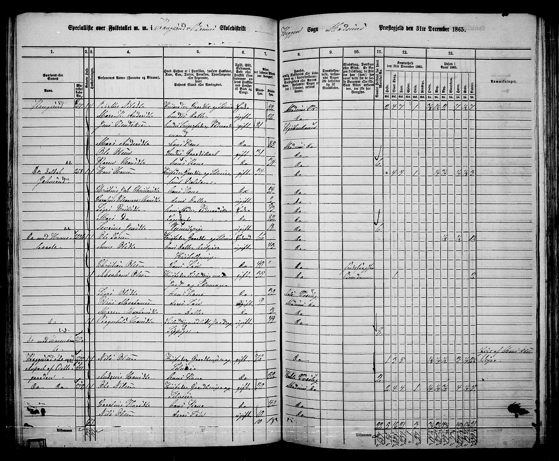 RA, 1865 census for Modum, 1865, p. 161