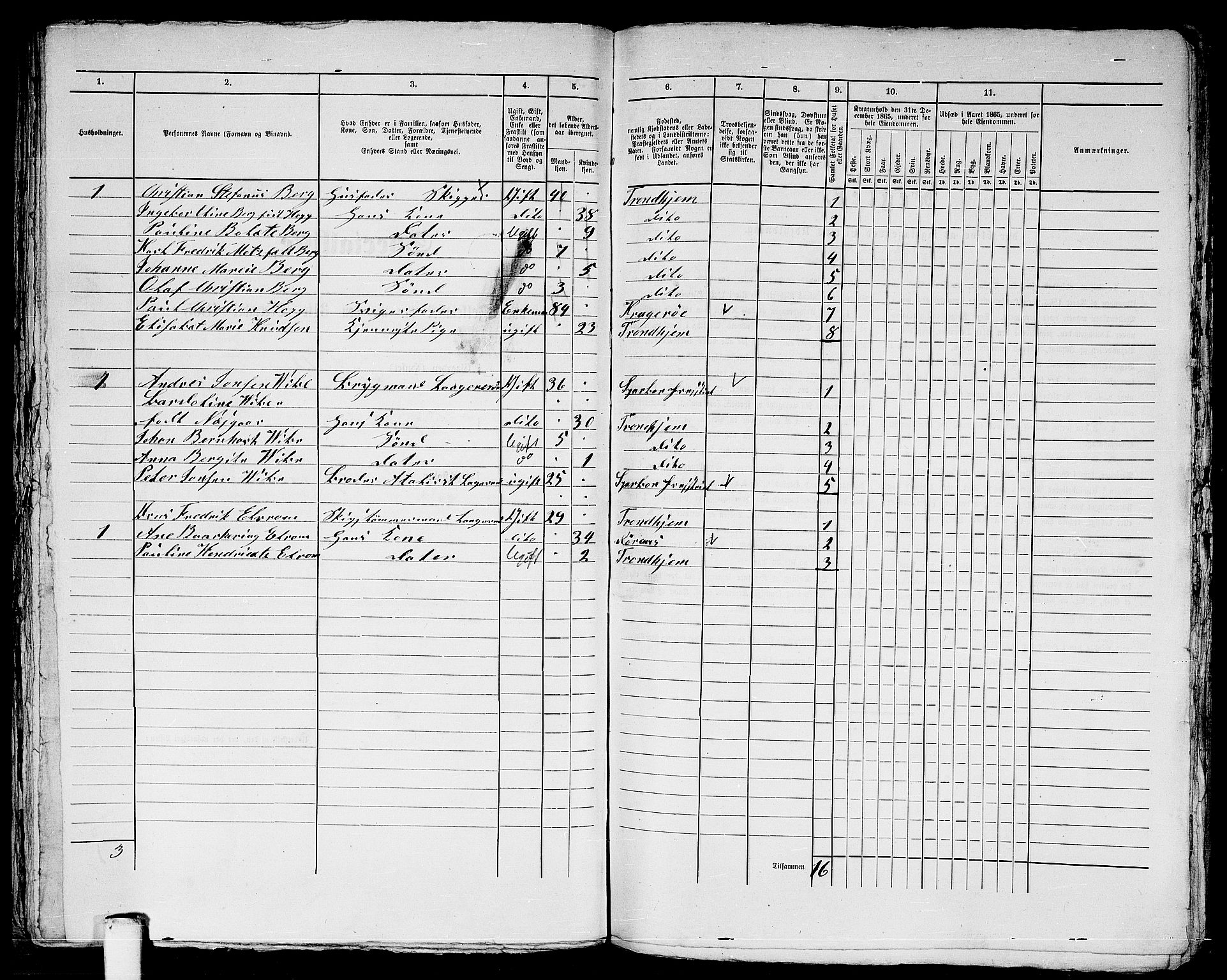 RA, 1865 census for Trondheim, 1865, p. 790