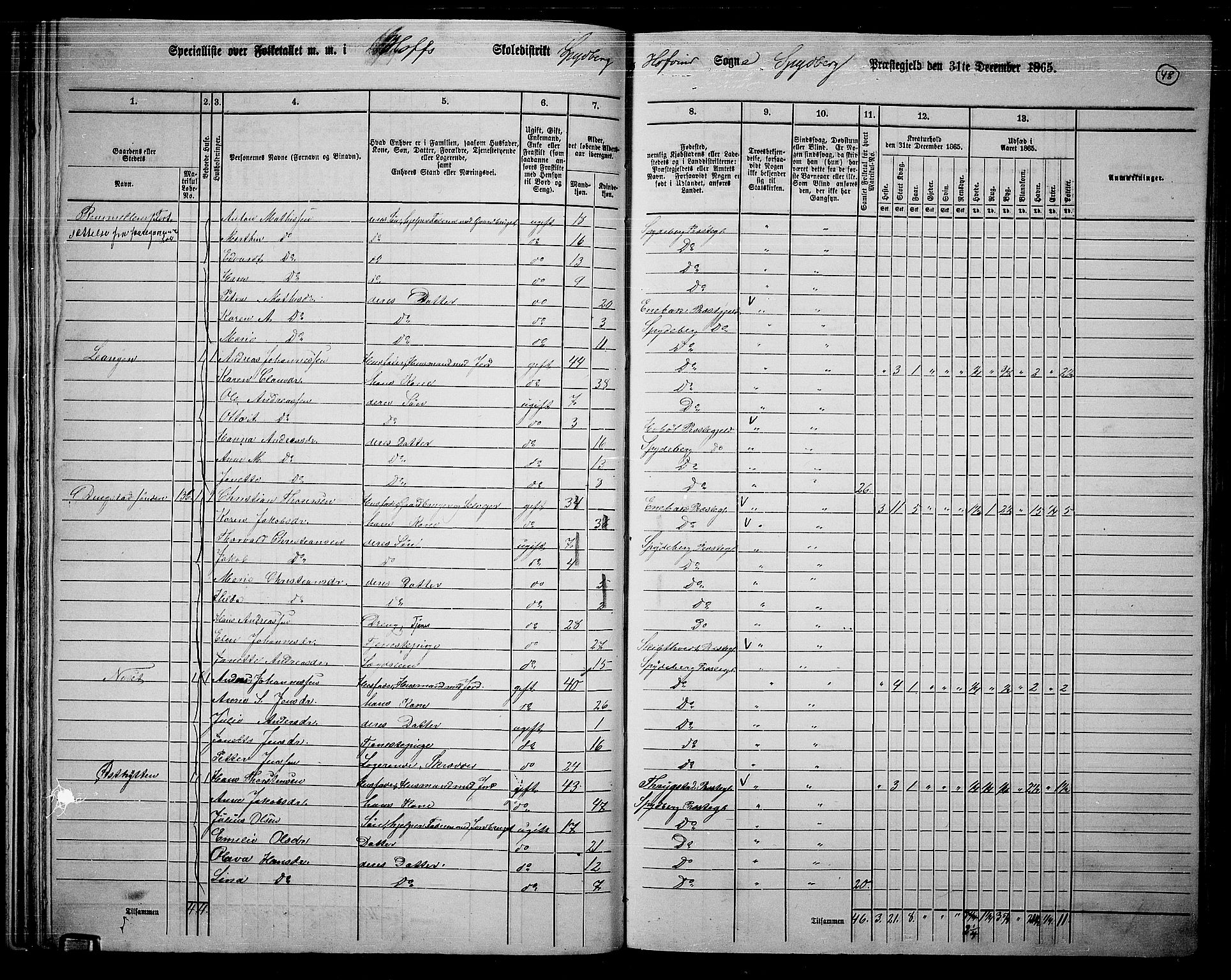 RA, 1865 census for Spydeberg, 1865, p. 43