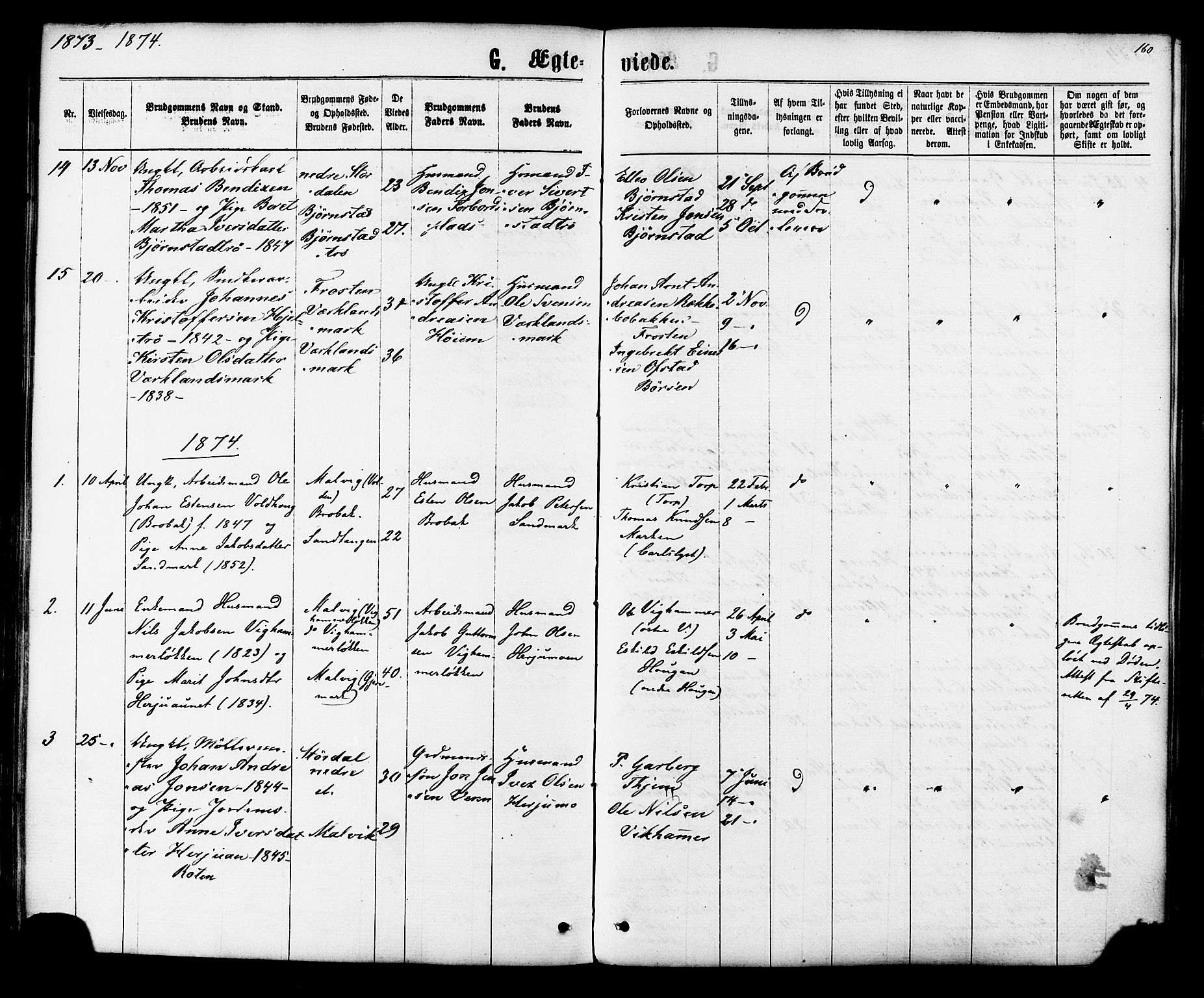 Ministerialprotokoller, klokkerbøker og fødselsregistre - Sør-Trøndelag, SAT/A-1456/616/L0409: Parish register (official) no. 616A06, 1865-1877, p. 160
