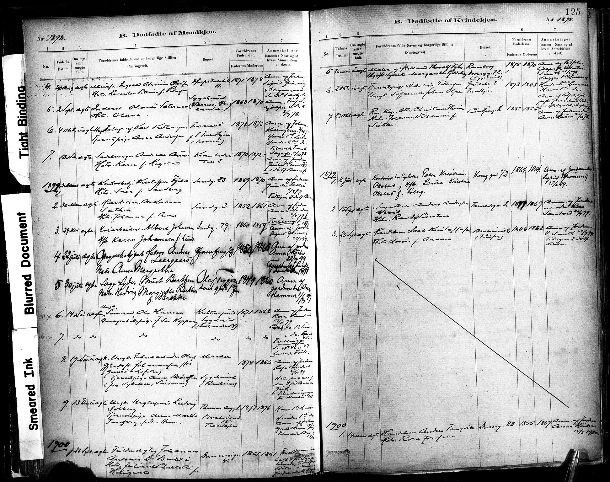 Ministerialprotokoller, klokkerbøker og fødselsregistre - Sør-Trøndelag, SAT/A-1456/602/L0119: Parish register (official) no. 602A17, 1880-1901, p. 125