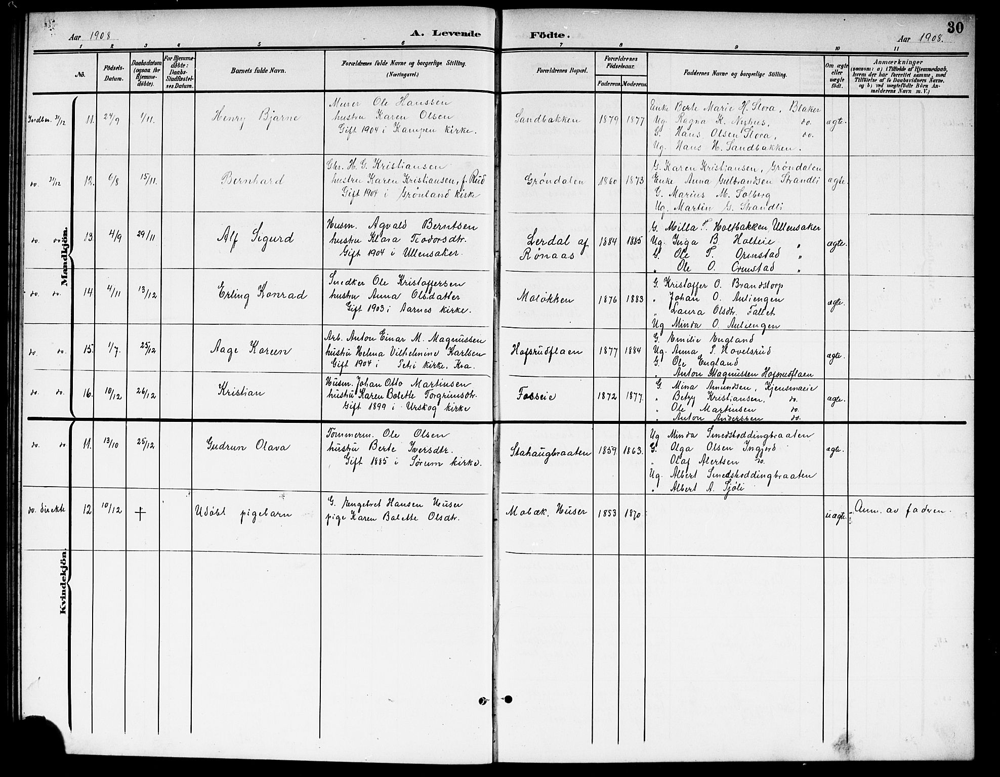 Nes prestekontor Kirkebøker, SAO/A-10410/G/Gb/L0001: Parish register (copy) no. II 1, 1901-1917, p. 30
