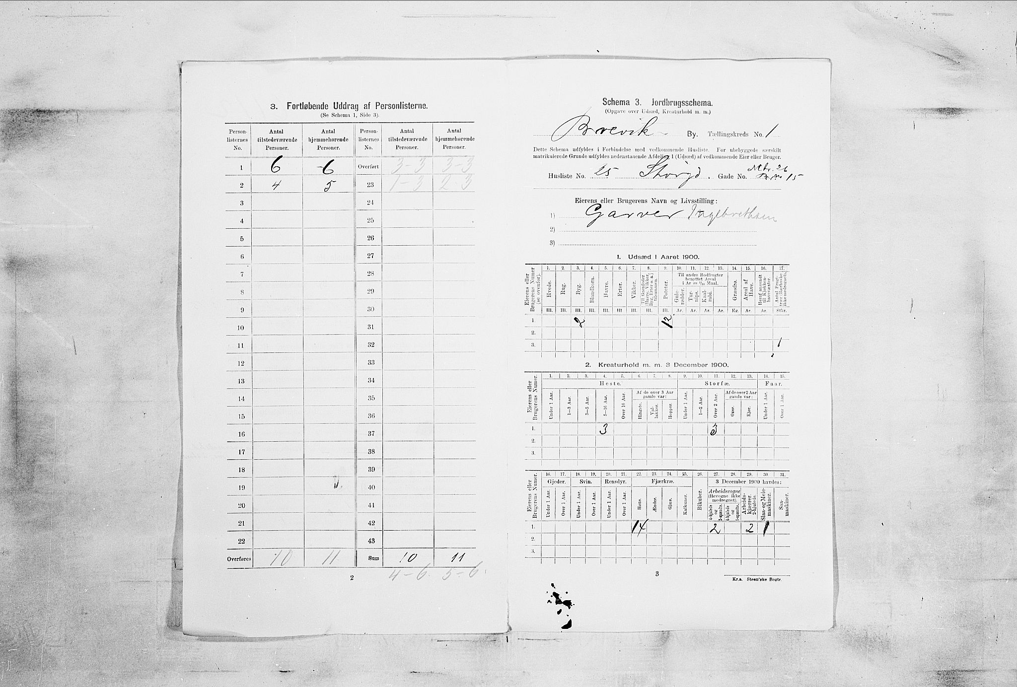 SAKO, 1900 census for Brevik, 1900, p. 33