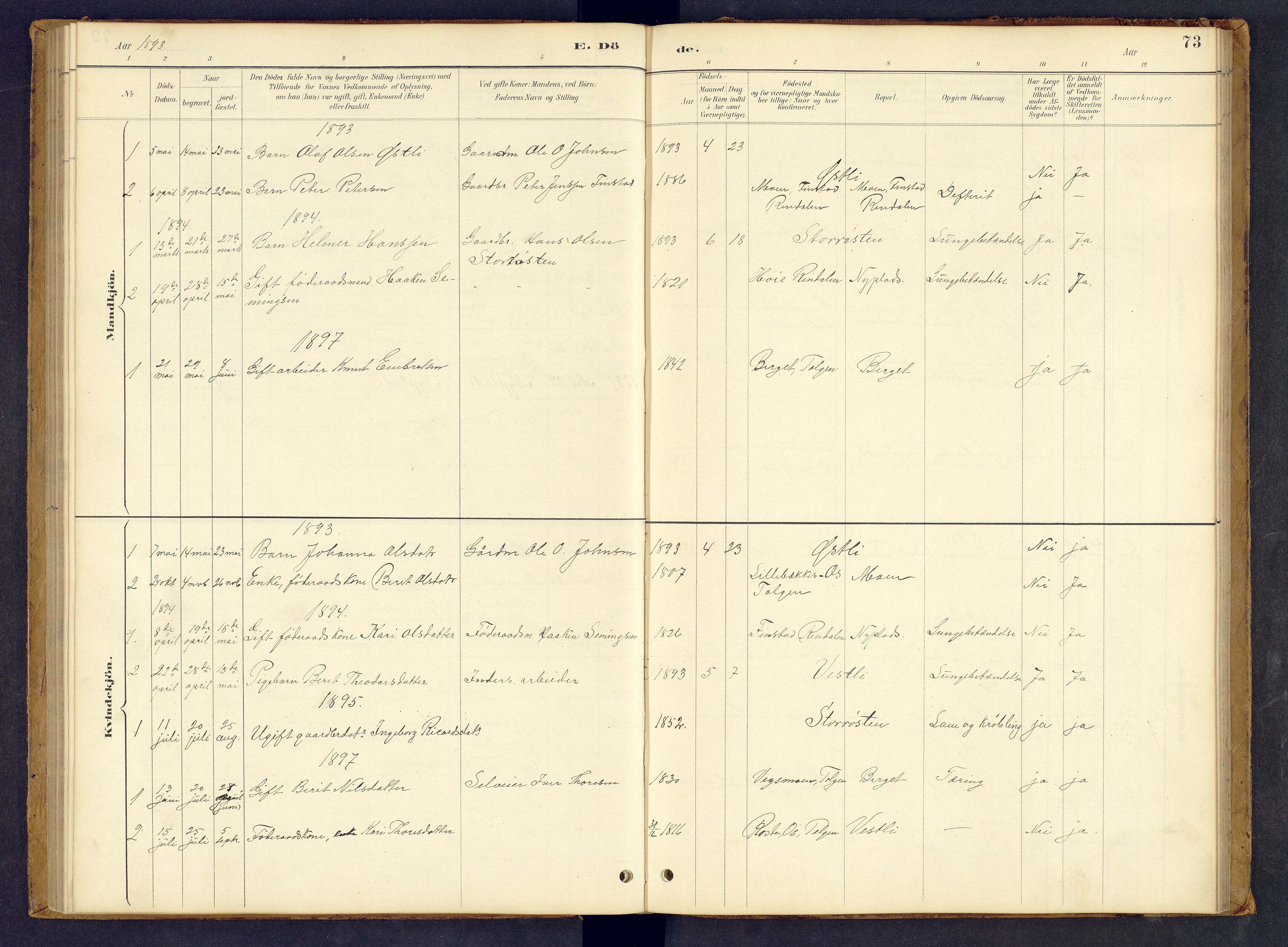 Tynset prestekontor, SAH/PREST-058/H/Ha/Hab/L0008: Parish register (copy) no. 8, 1884-1916, p. 73