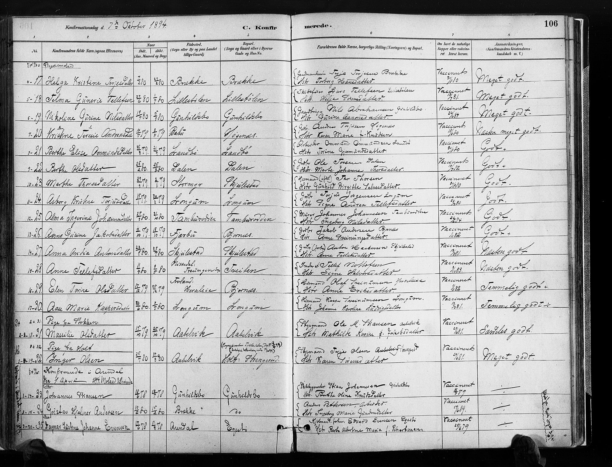 Austre Moland sokneprestkontor, SAK/1111-0001/F/Fa/Faa/L0010: Parish register (official) no. A 10, 1880-1904, p. 106