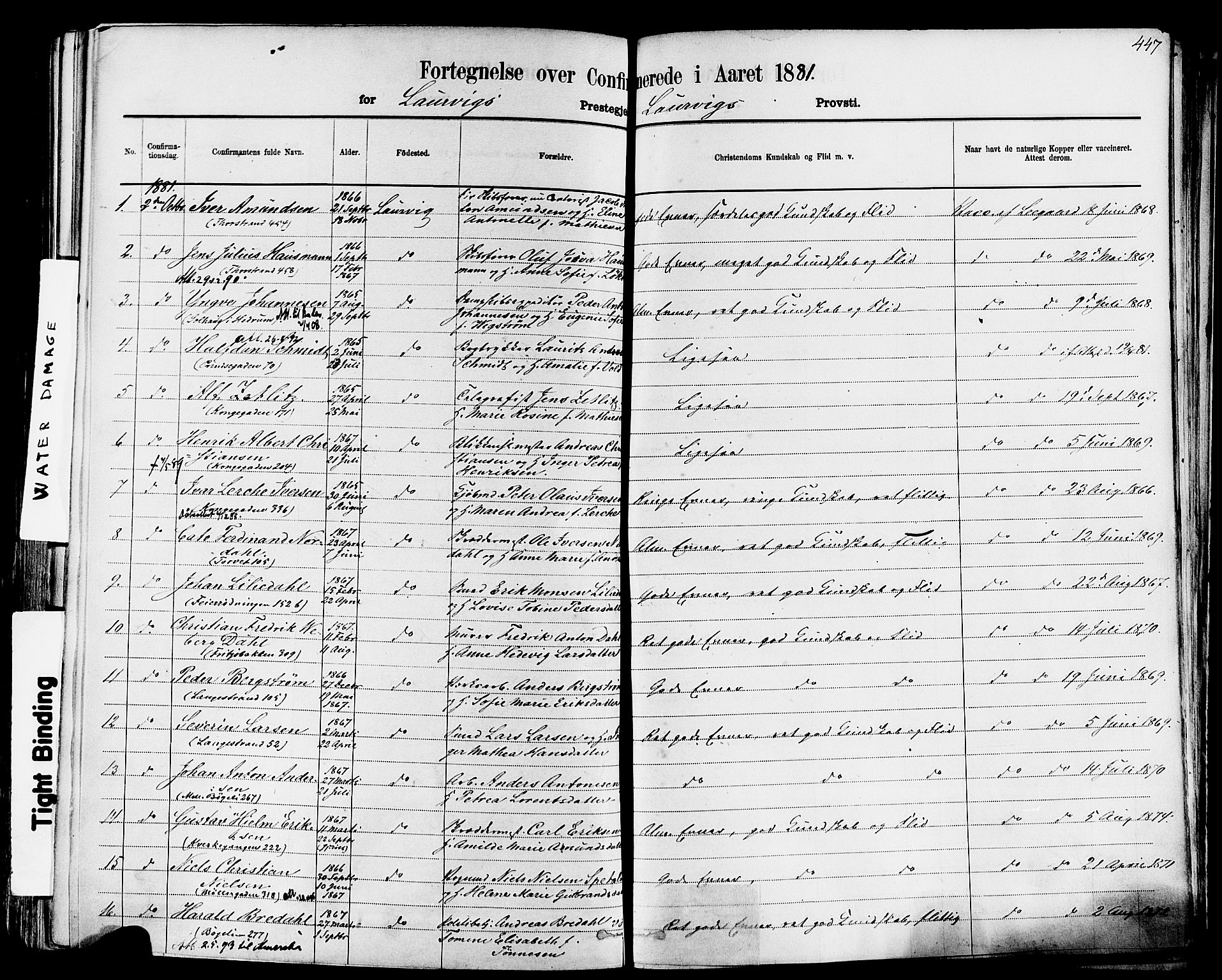 Larvik kirkebøker, AV/SAKO-A-352/F/Fa/L0006: Parish register (official) no. I 6, 1871-1883, p. 447