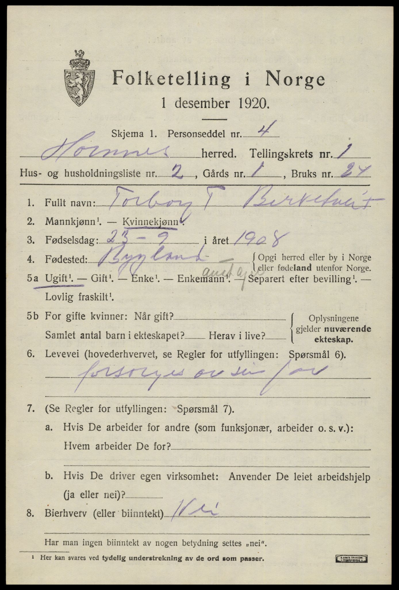 SAK, 1920 census for Hornnes, 1920, p. 573