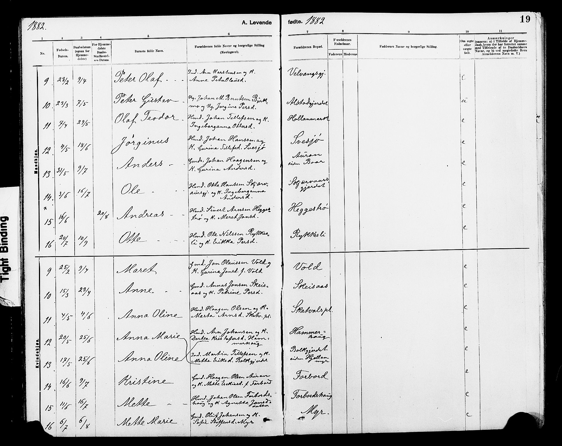 Ministerialprotokoller, klokkerbøker og fødselsregistre - Nord-Trøndelag, AV/SAT-A-1458/712/L0103: Parish register (copy) no. 712C01, 1878-1917, p. 19