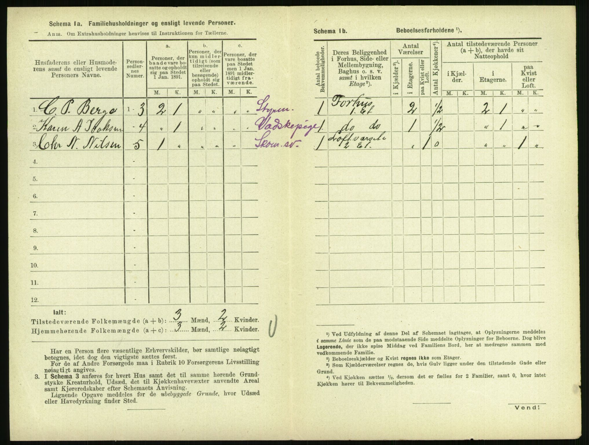 RA, 1891 census for 0707 Larvik, 1891, p. 1516