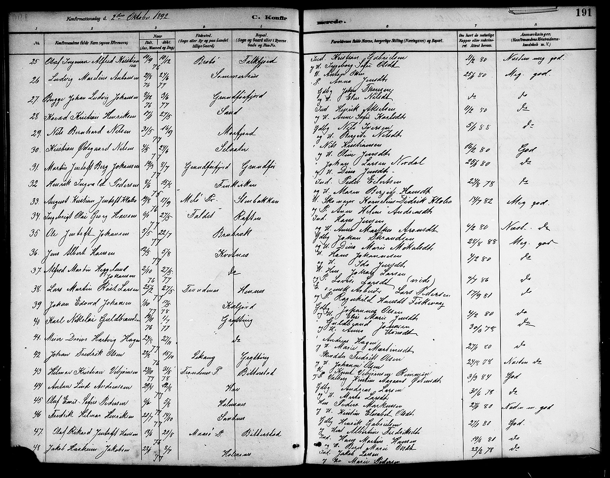 Ministerialprotokoller, klokkerbøker og fødselsregistre - Nordland, AV/SAT-A-1459/888/L1268: Parish register (copy) no. 888C06, 1891-1908, p. 191