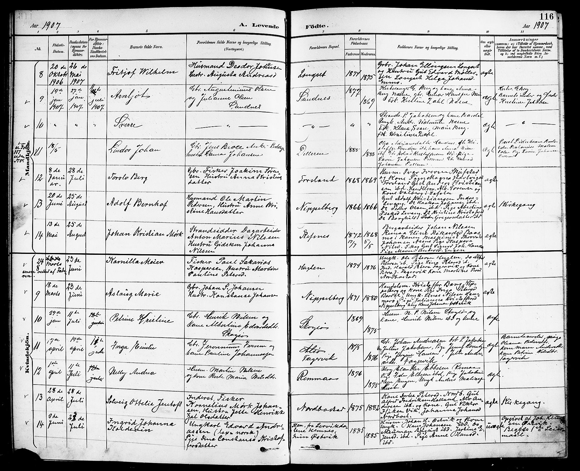 Ministerialprotokoller, klokkerbøker og fødselsregistre - Nordland, SAT/A-1459/838/L0559: Parish register (copy) no. 838C06, 1893-1910, p. 116